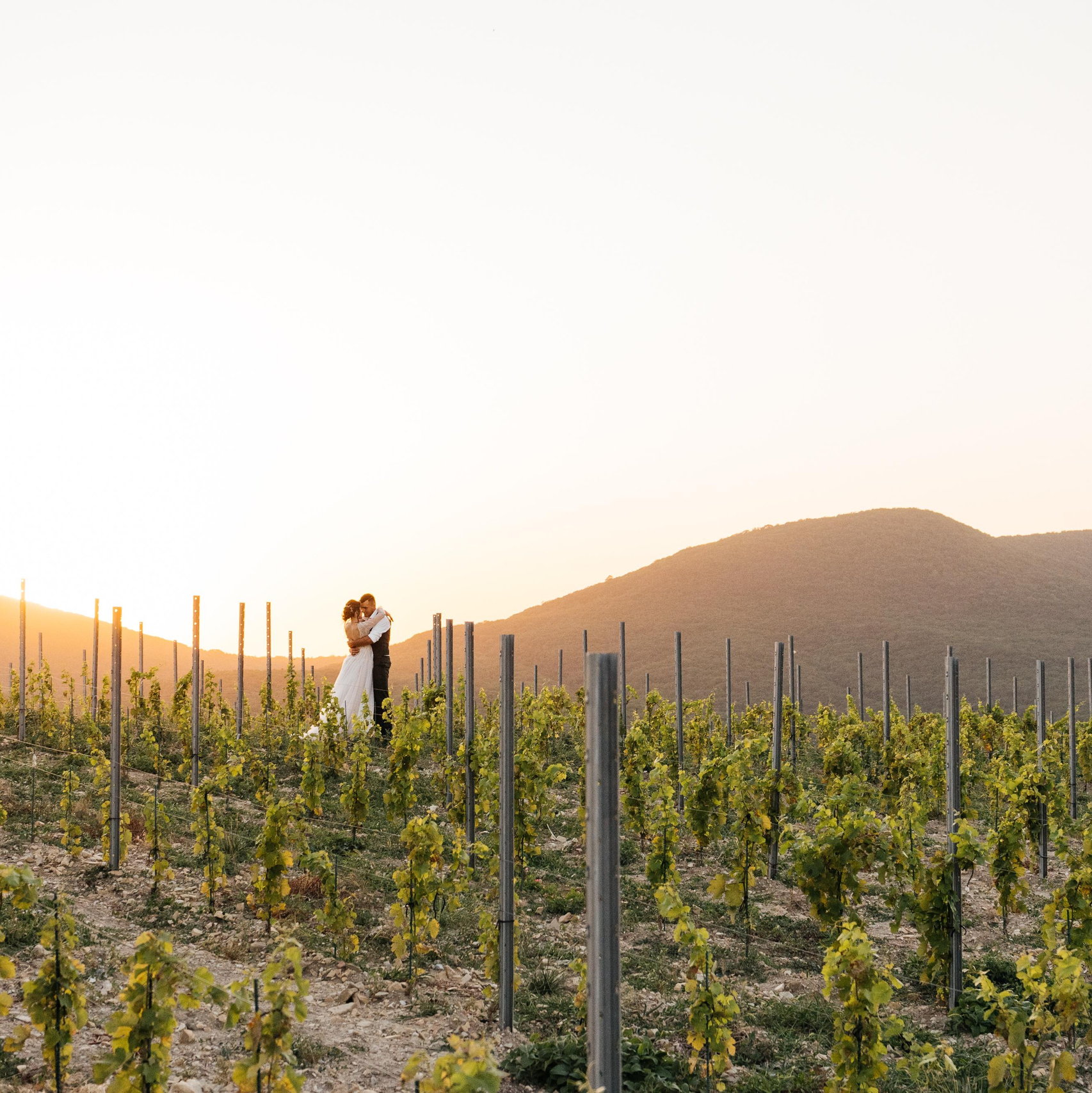 Главная. Wedding photographers Alex Abramyan