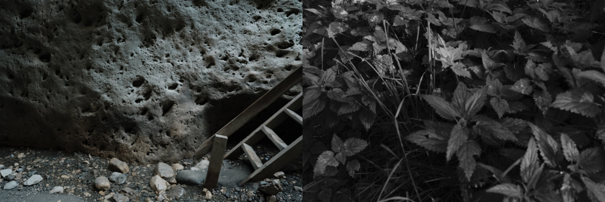 Трансформация дома. Izma photos