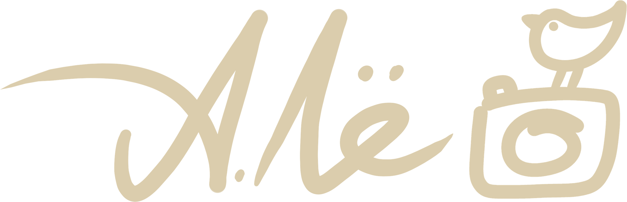 Иллюстратор | Аня Лёзина