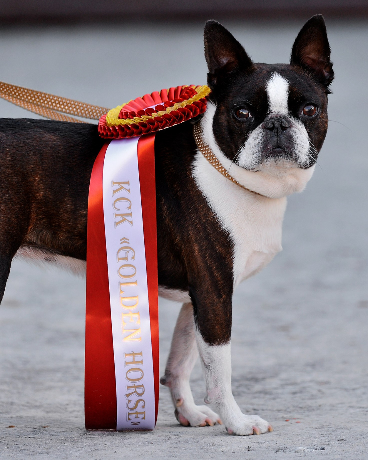 Поездка 2025. Конный фотограф Алеся Сейф / Alesya Safe