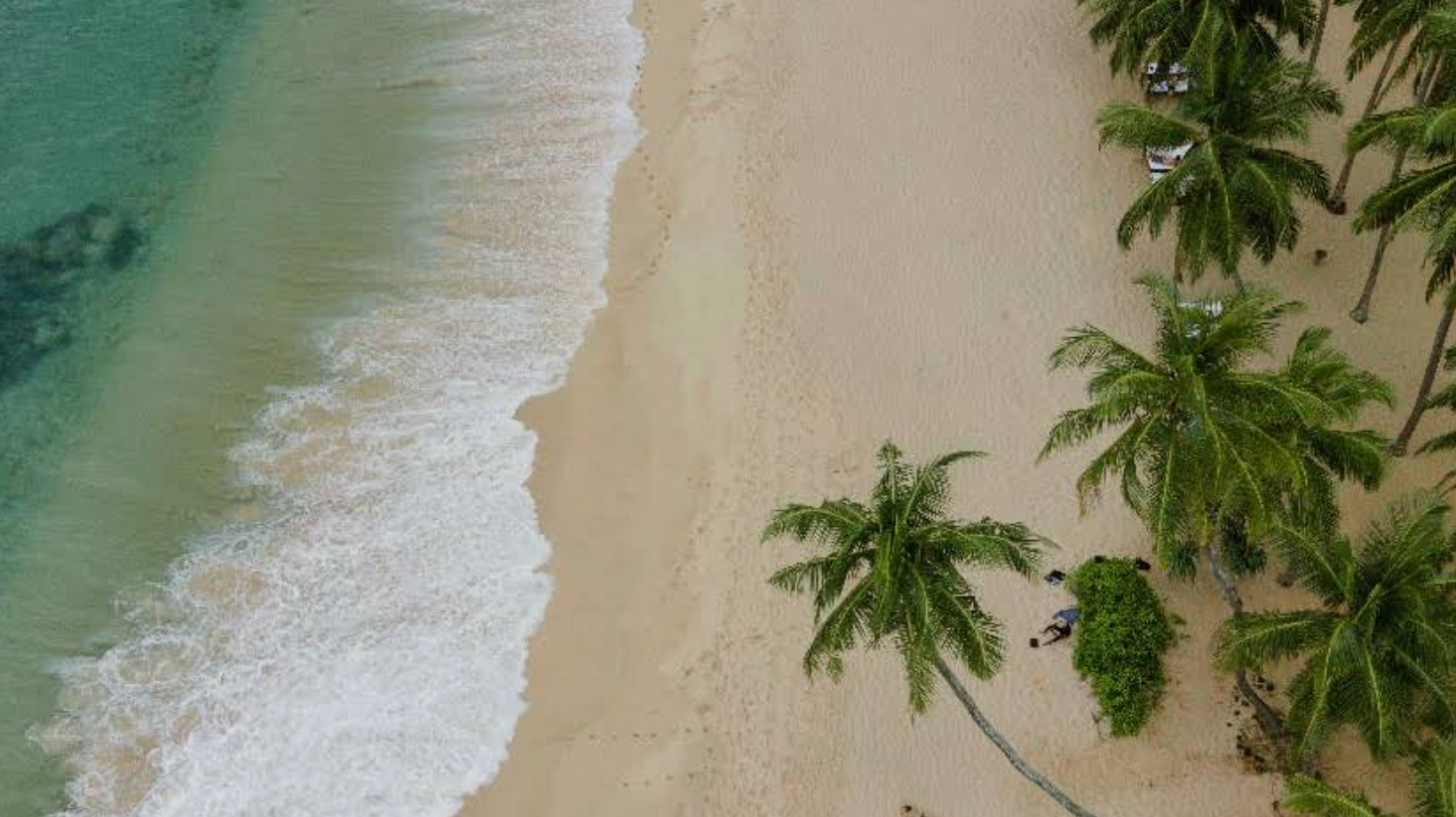 Пляжи Шри-ланки для фотосессий