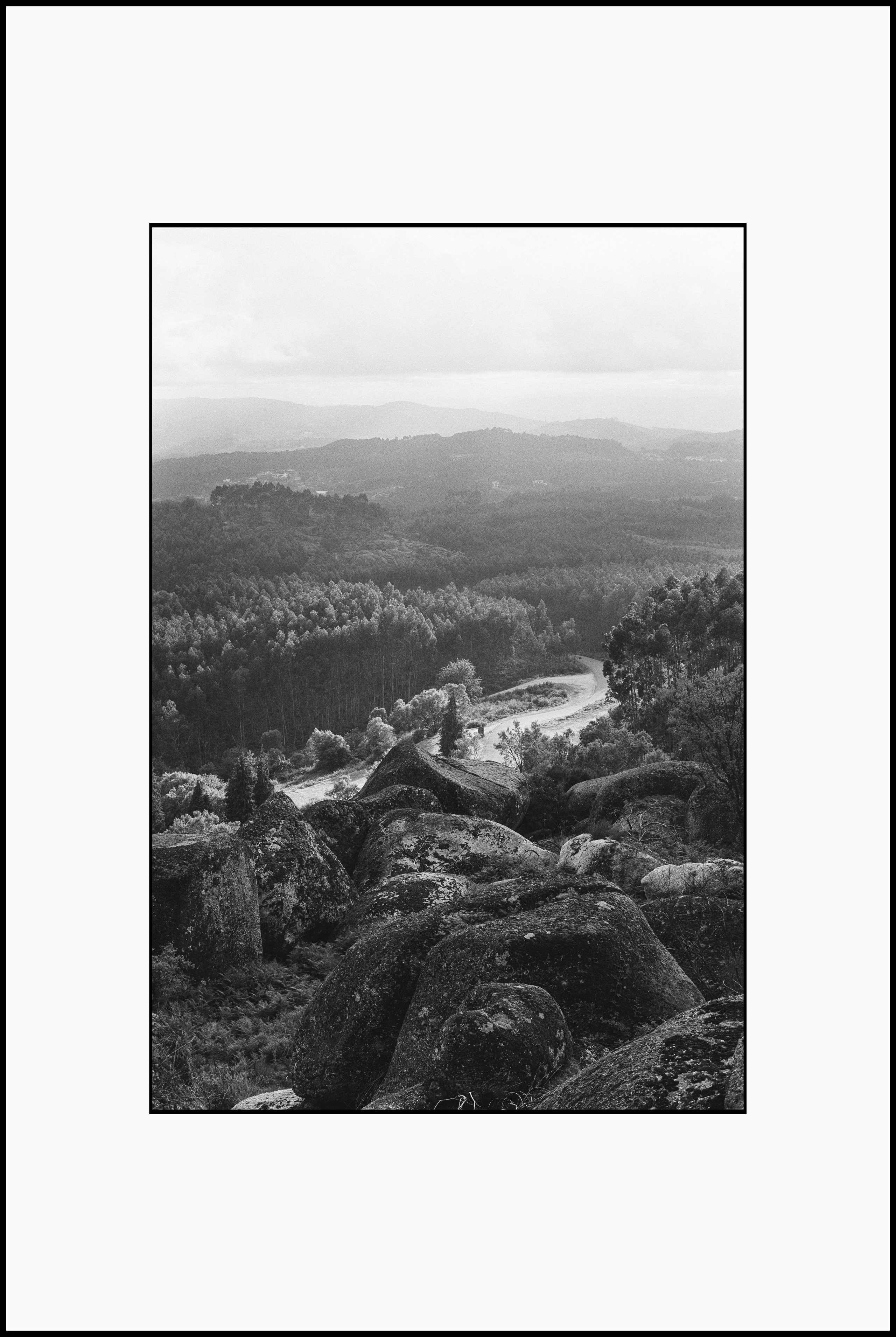 Prints. Katya Zimina, film photographer