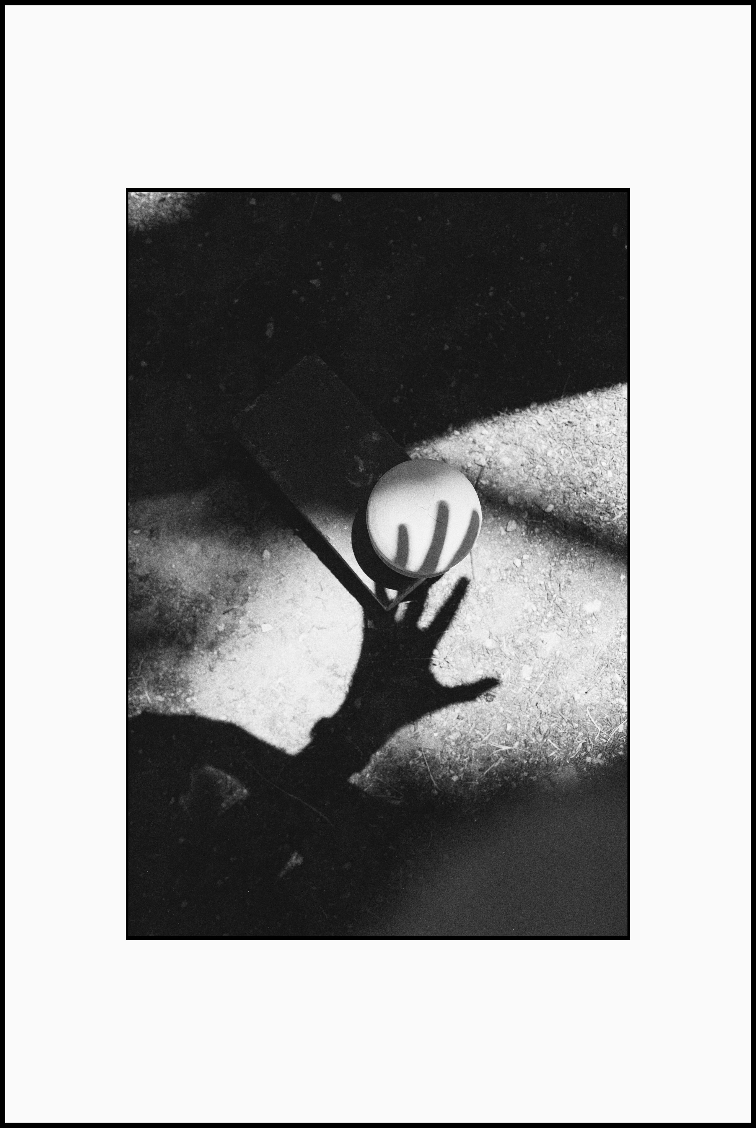 Prints. Katya Zimina, film photographer