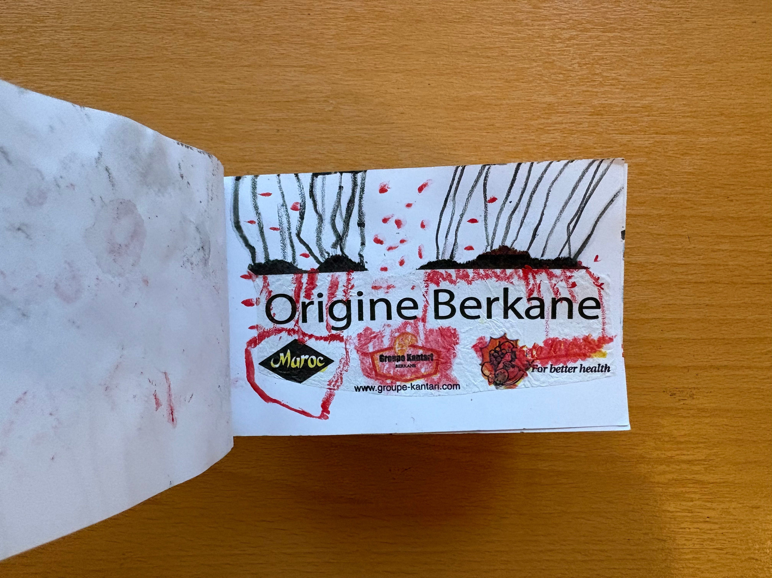 Арт книги. Художник Даля Бучионите