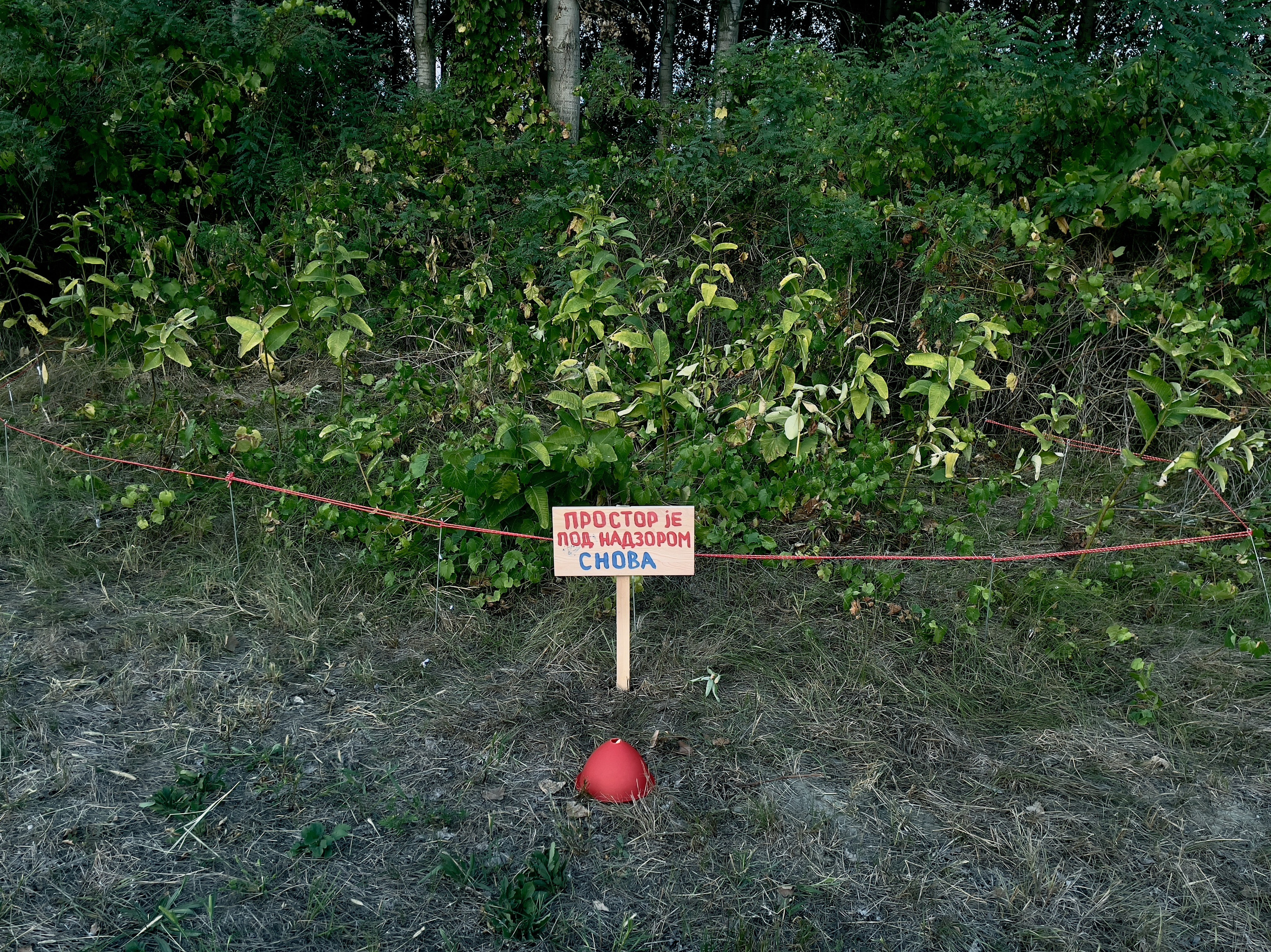 Наталия Бабинцева — ВЫДЕЛЕННАЯ ТЕРРИТОРИЯ: прогулки с N