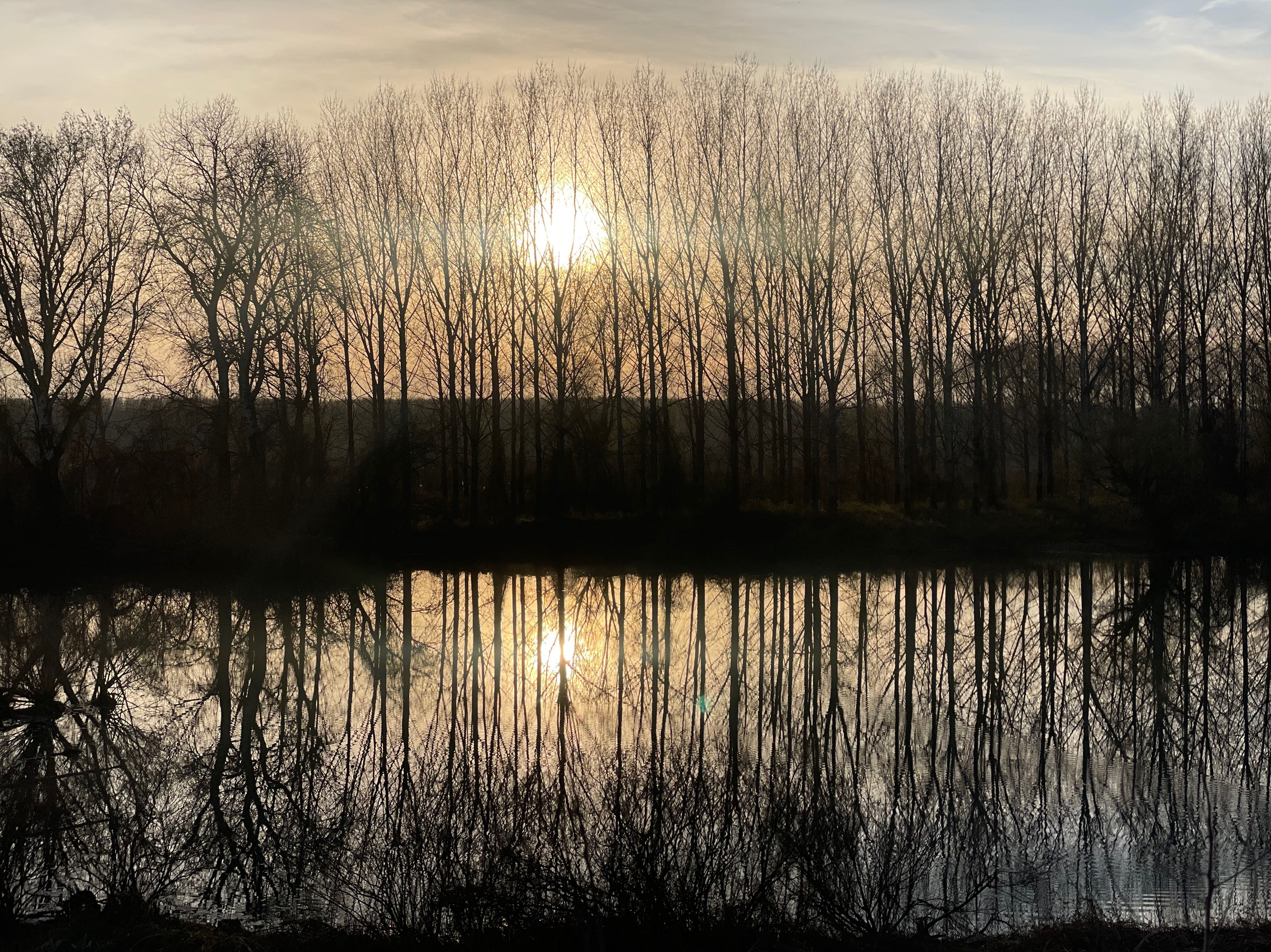 Наталия Бабинцева — ВЫДЕЛЕННАЯ ТЕРРИТОРИЯ: прогулки с N