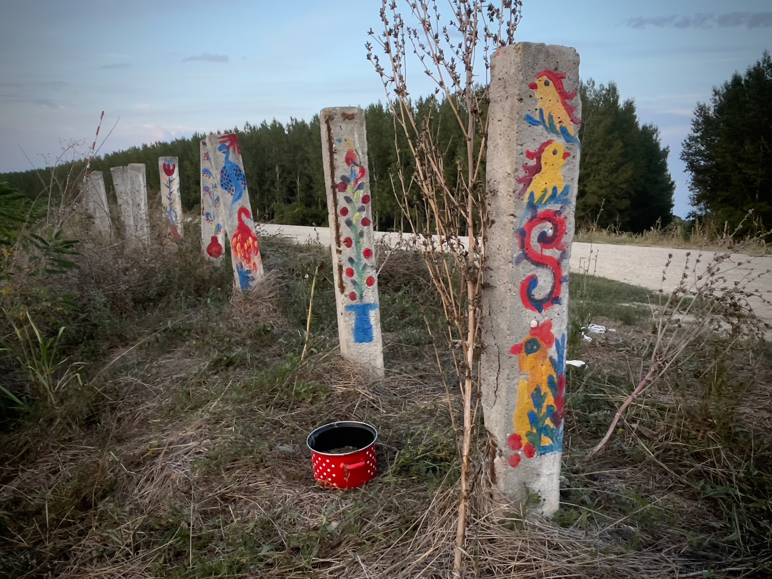 Наталия Бабинцева — ВЫДЕЛЕННАЯ ТЕРРИТОРИЯ: прогулки с N
