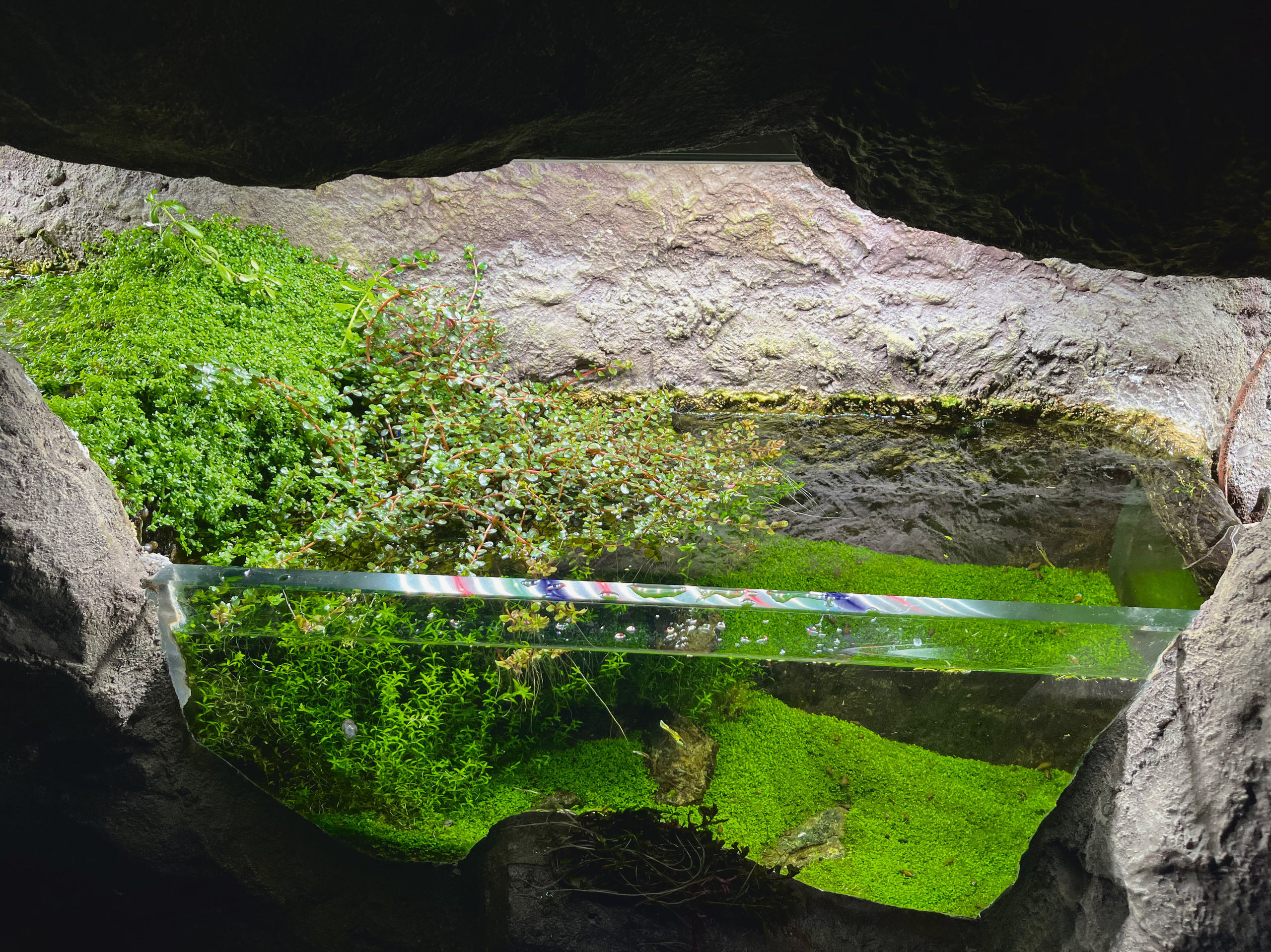 Опыт работы. Home