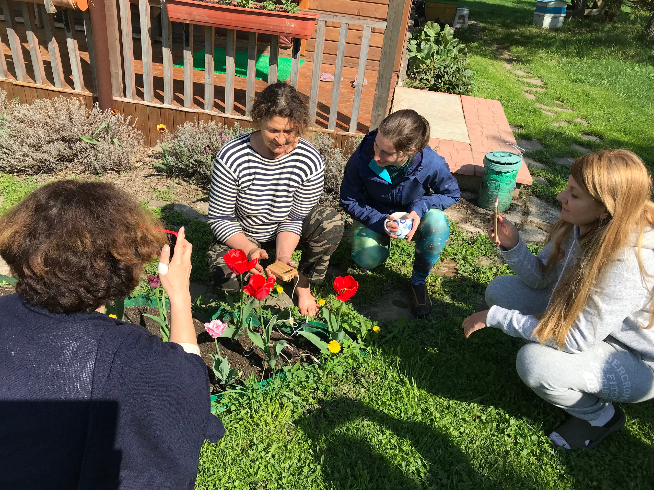 Территория экофермы Марии Гиппенрейтер. Эко отель Подмосковье. Эко отдых в Подмосковье в эко-отеле Марии Гиппенрейтер
