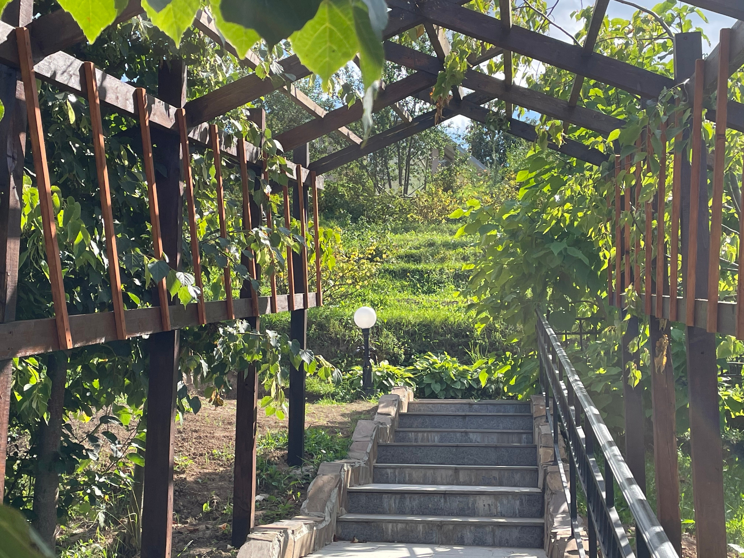 Прогулка по г. Владимир: зеленый Патриарший сад, холмы и церкви. Проект «Фотокладовка»: блог уличной фотографии в формате street photo