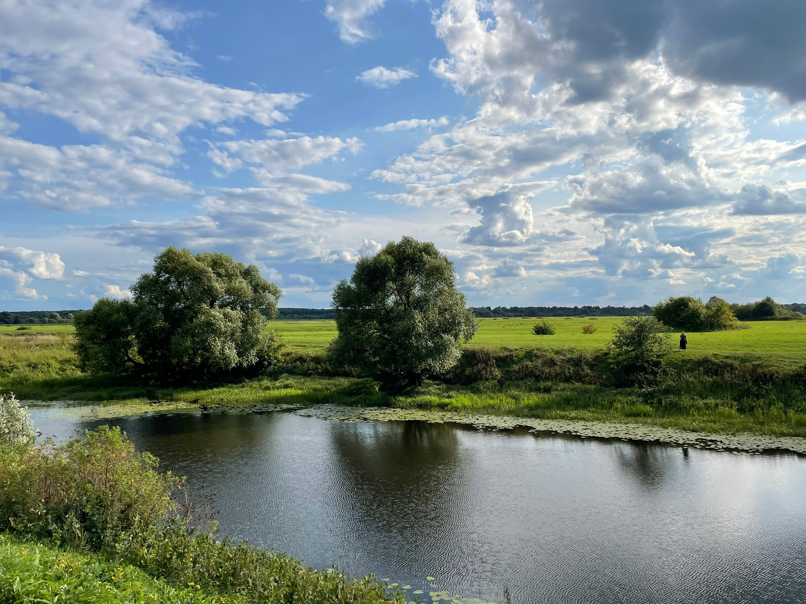 Прогулка по г. Владимир: зеленый Патриарший сад, холмы и церкви. Проект «Фотокладовка»: блог уличной фотографии в формате street photo