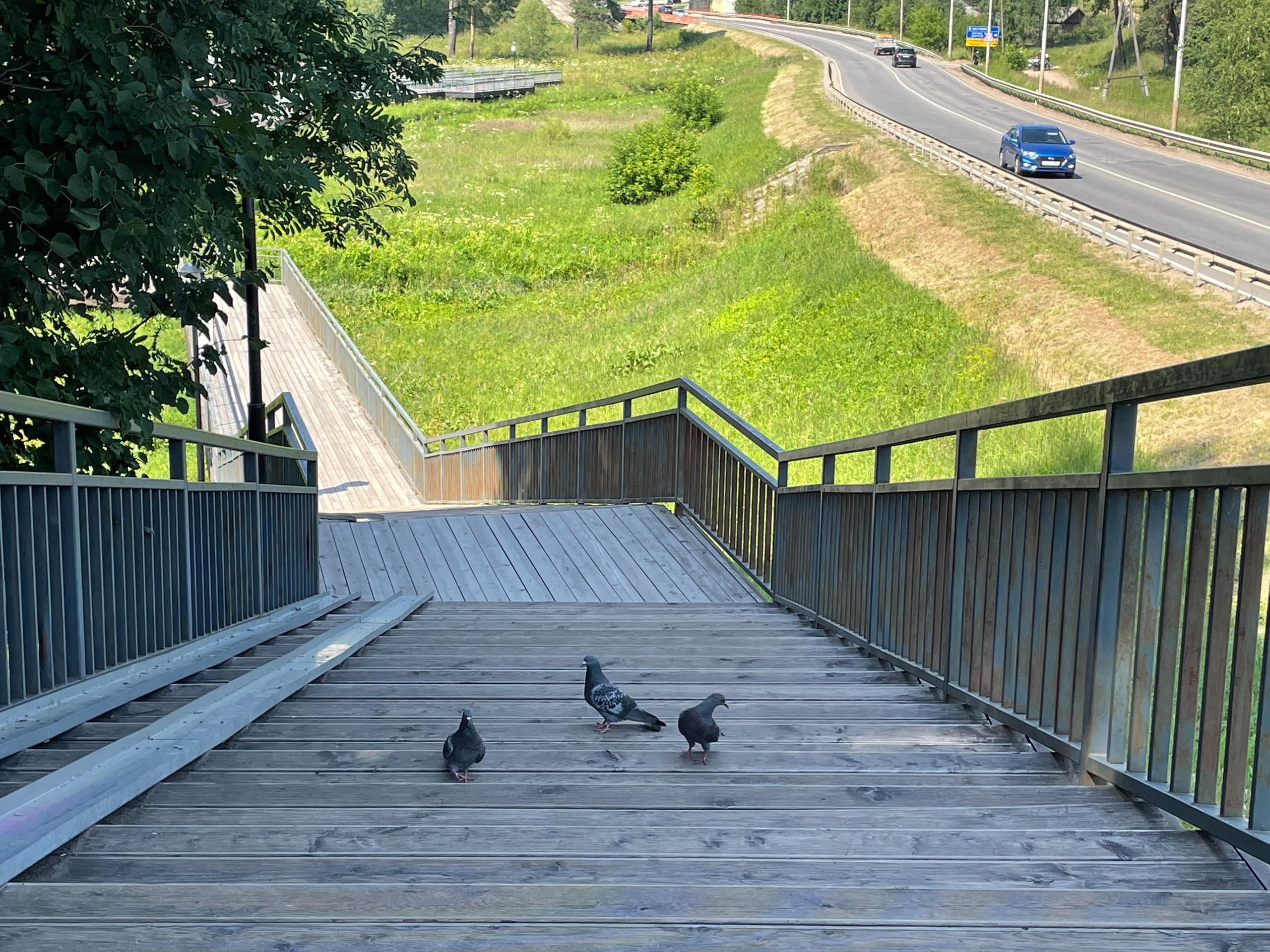 Усадьба «Абрамцево». Проект «Фотокладовка»: блог уличной фотографии в формате street photo