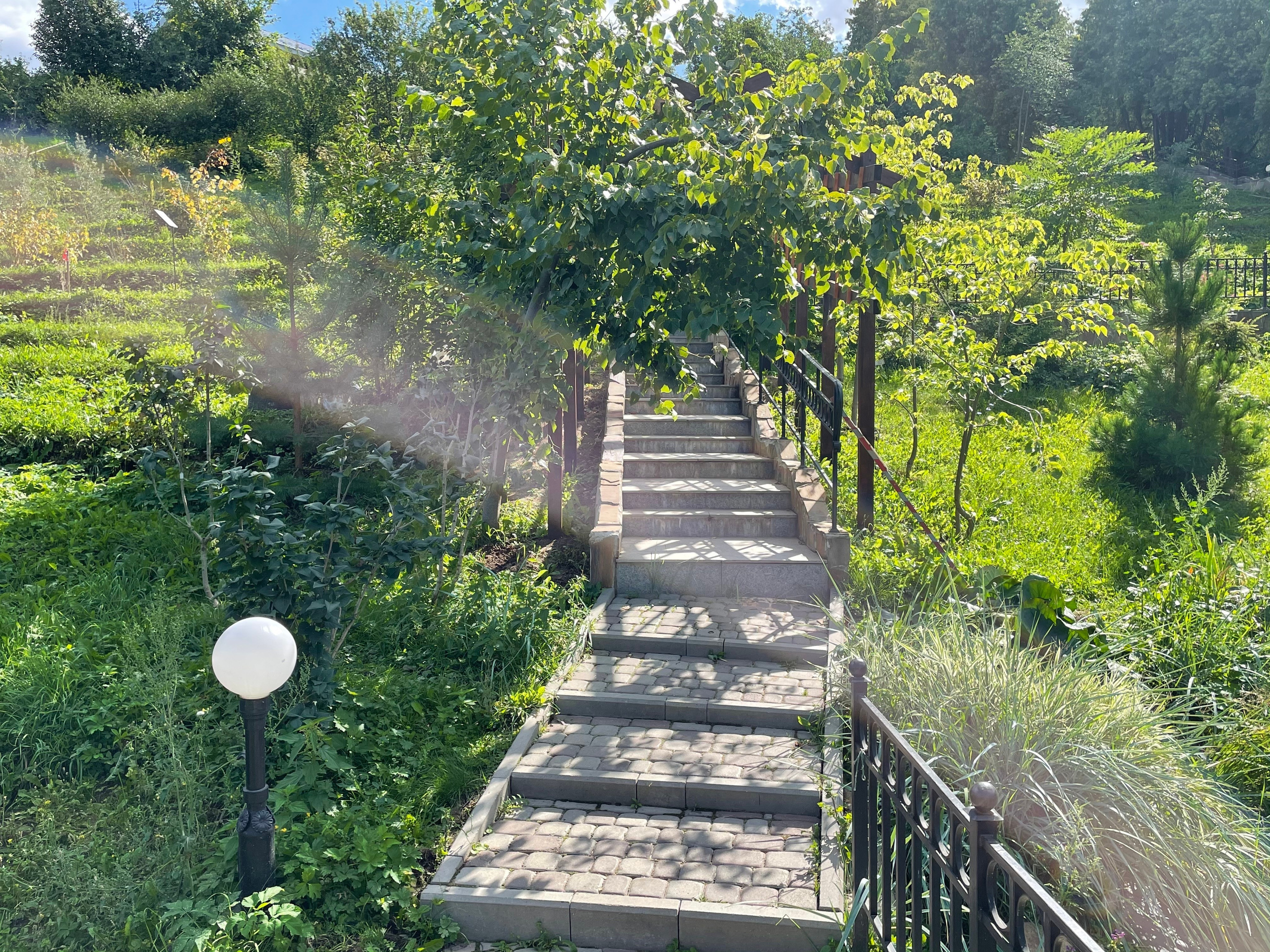 Прогулка по г. Владимир: зеленый Патриарший сад, холмы и церкви. Проект «Фотокладовка»: блог уличной фотографии в формате street photo