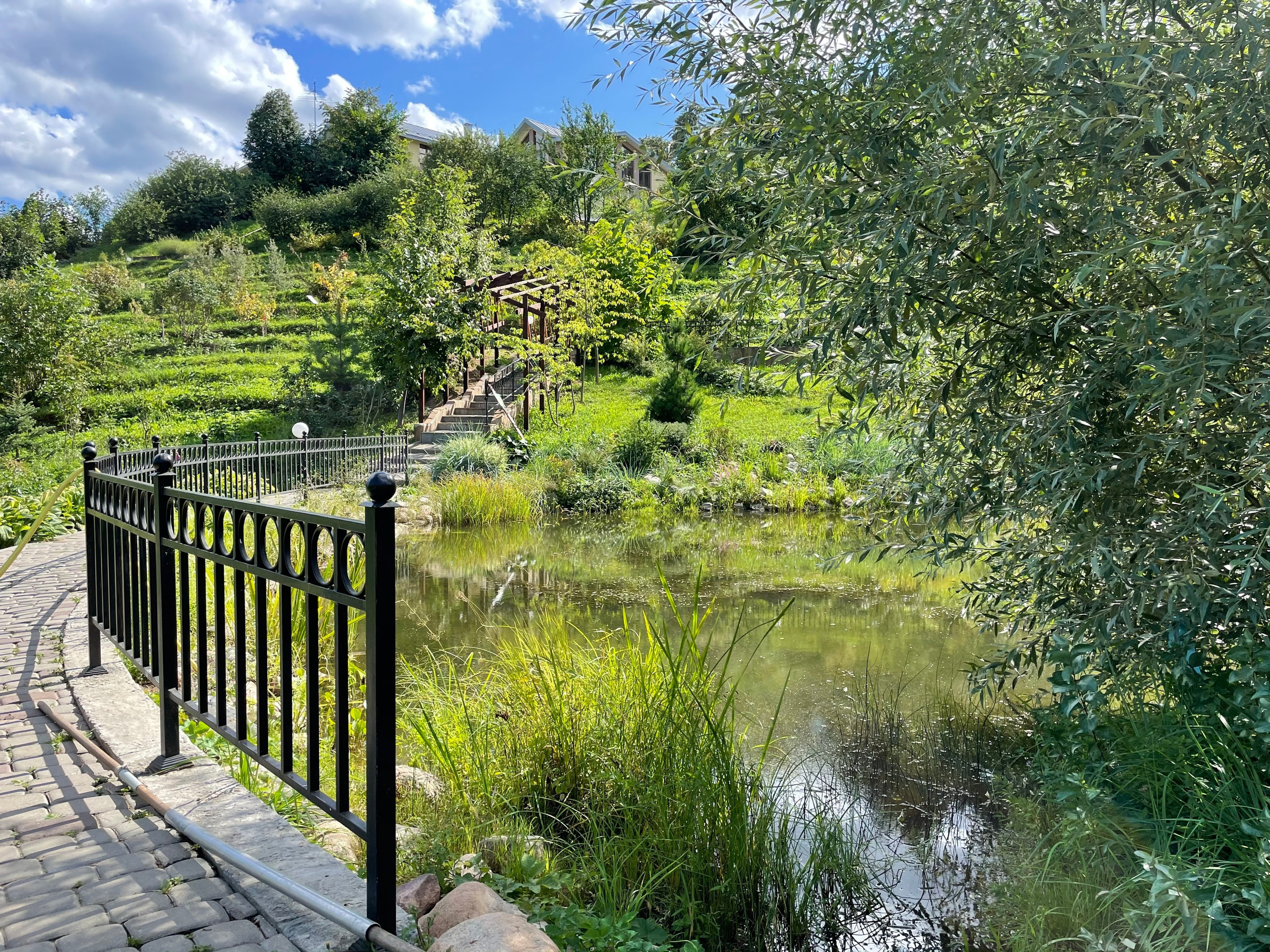 Прогулка по г. Владимир: зеленый Патриарший сад, холмы и церкви. Проект «Фотокладовка»: блог уличной фотографии в формате street photo