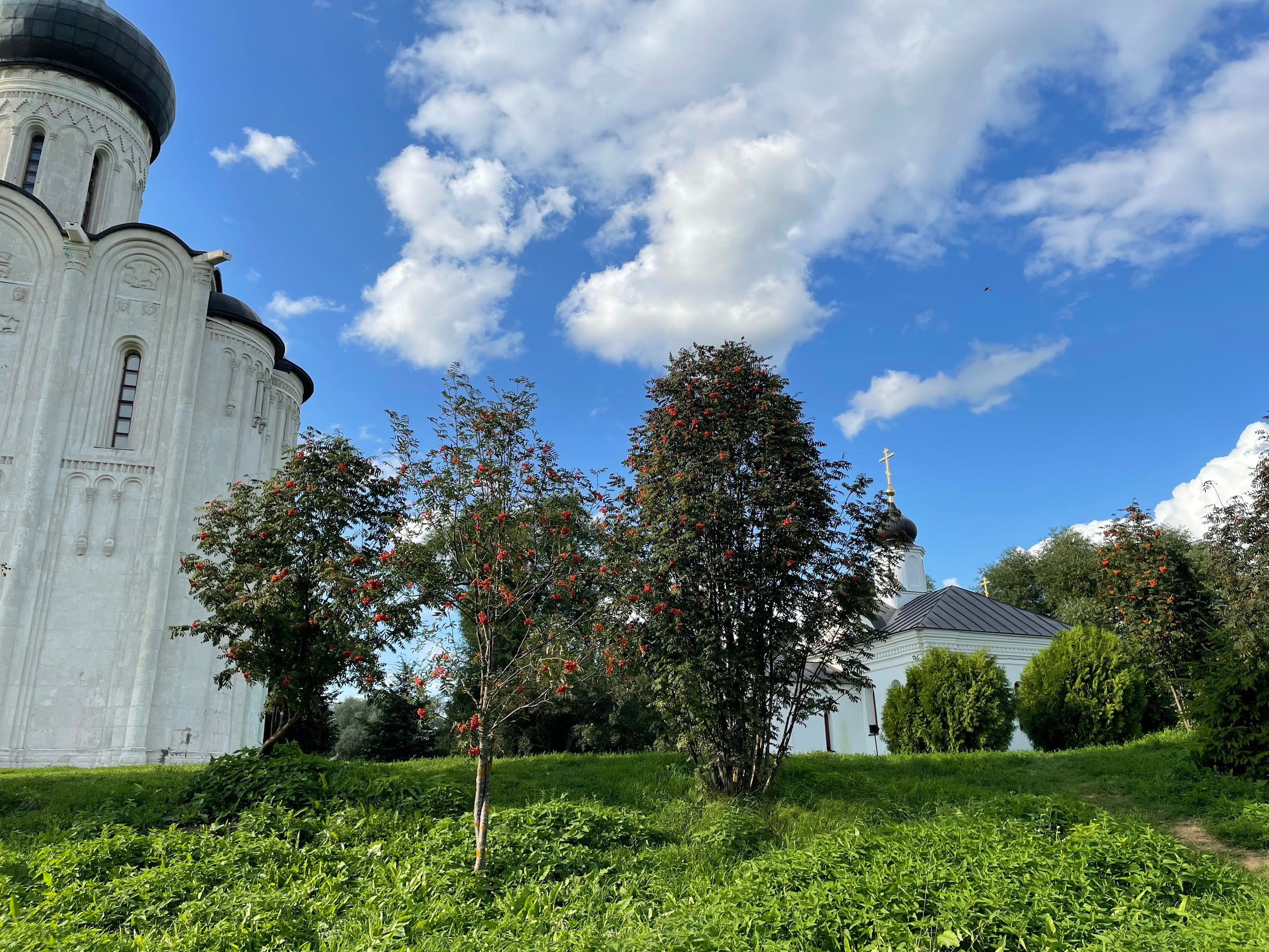 Прогулка по г. Владимир: зеленый Патриарший сад, холмы и церкви. Проект «Фотокладовка»: блог уличной фотографии в формате street photo