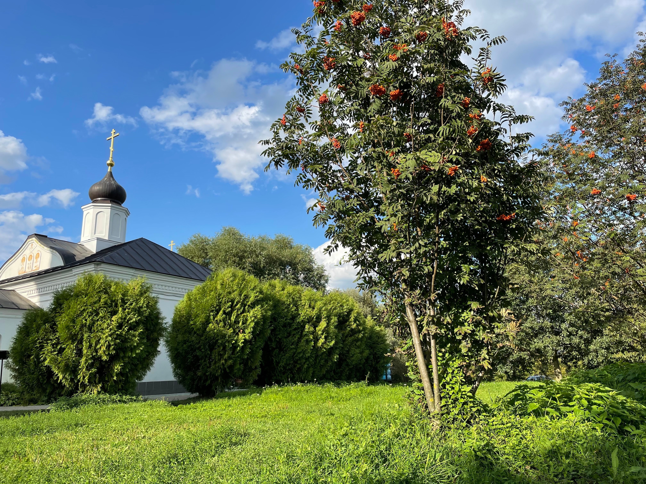 Прогулка по г. Владимир: зеленый Патриарший сад, холмы и церкви. Проект «Фотокладовка»: блог уличной фотографии в формате street photo