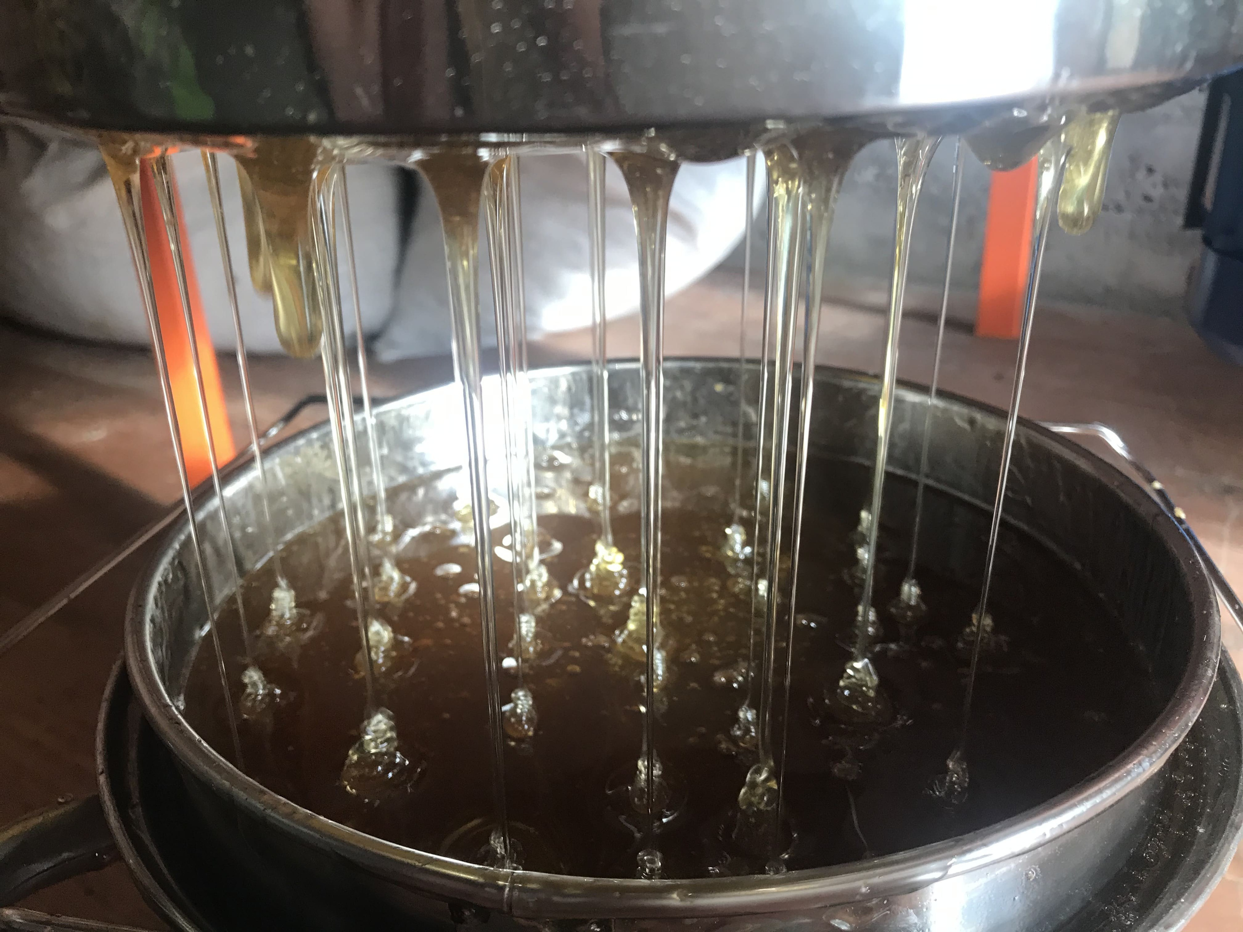 Как отличить натуральный мёд от поддельного?. Эко отдых в Подмосковье в эко-отеле Марии Гиппенрейтер