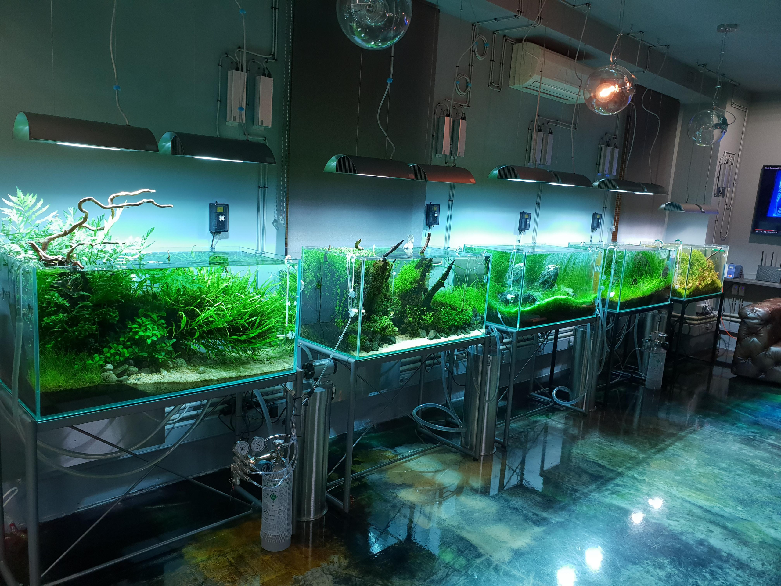 Опыт работы. Home