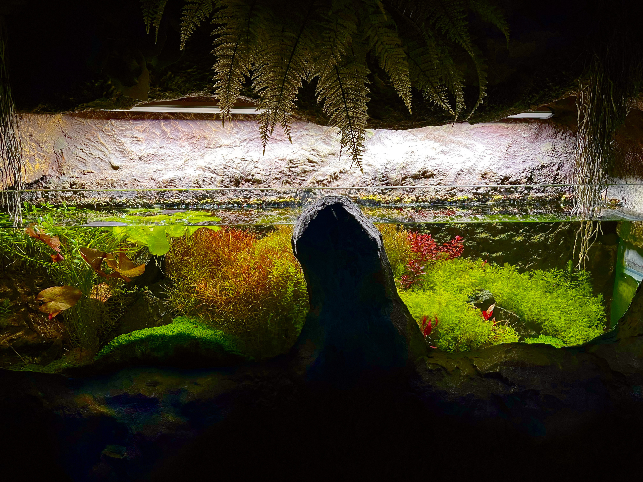 Опыт работы. Home