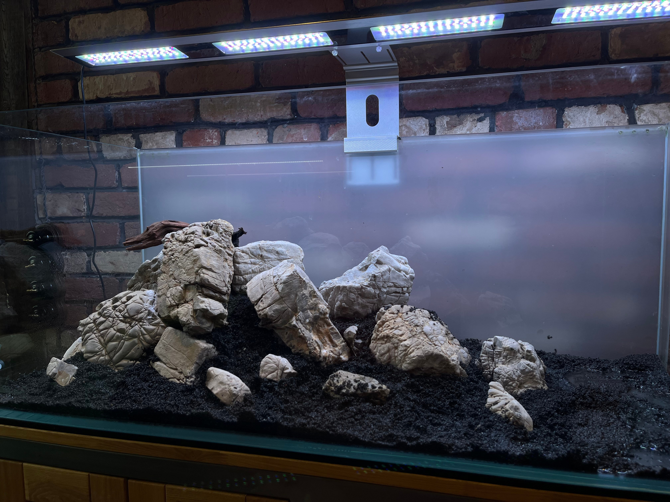 Переоформление растительного аквариума. Аквариумист Максим Ерёмин. Aqua Maxim