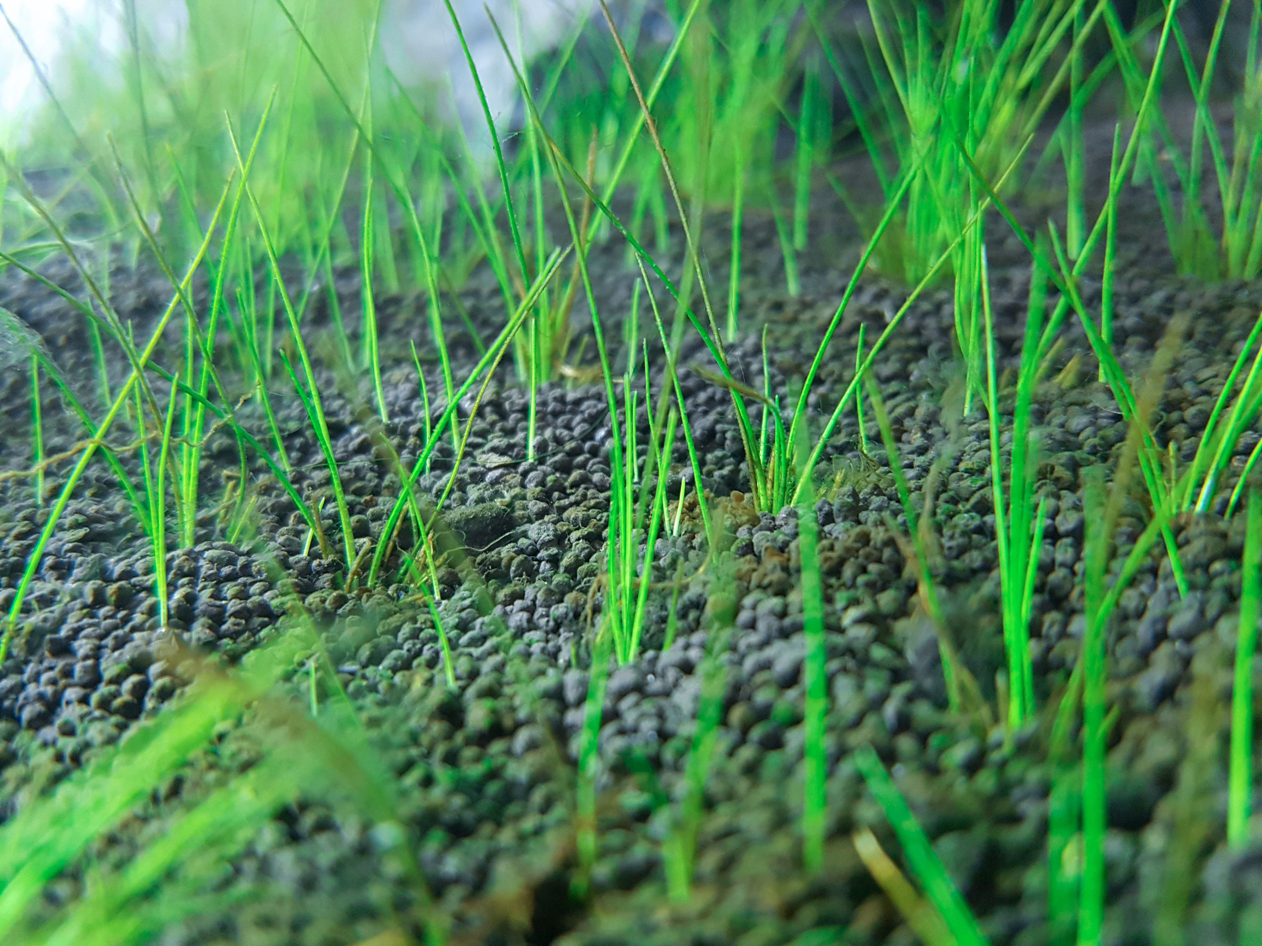 Оформление аквариума. Home