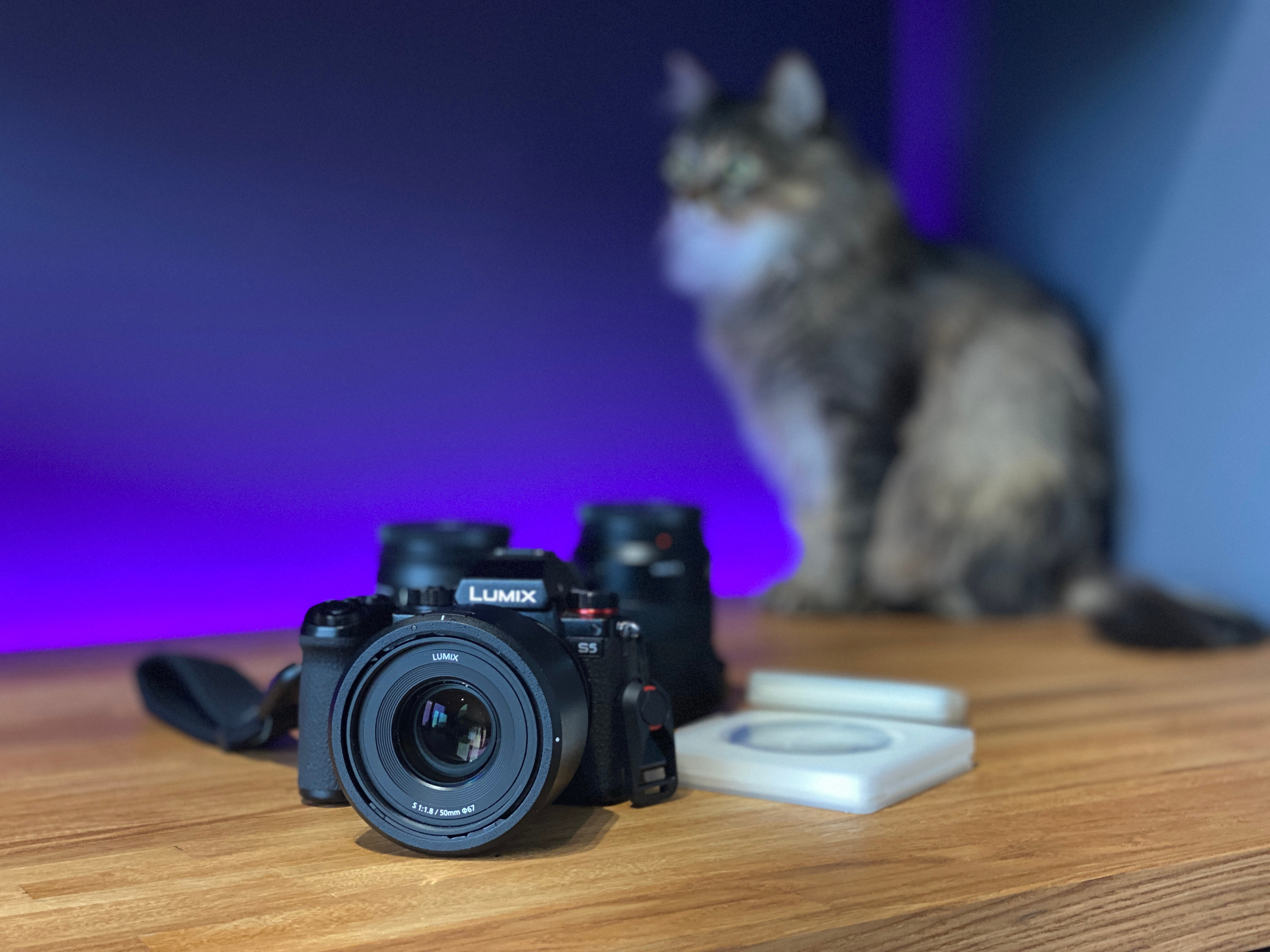 На что я снимаю