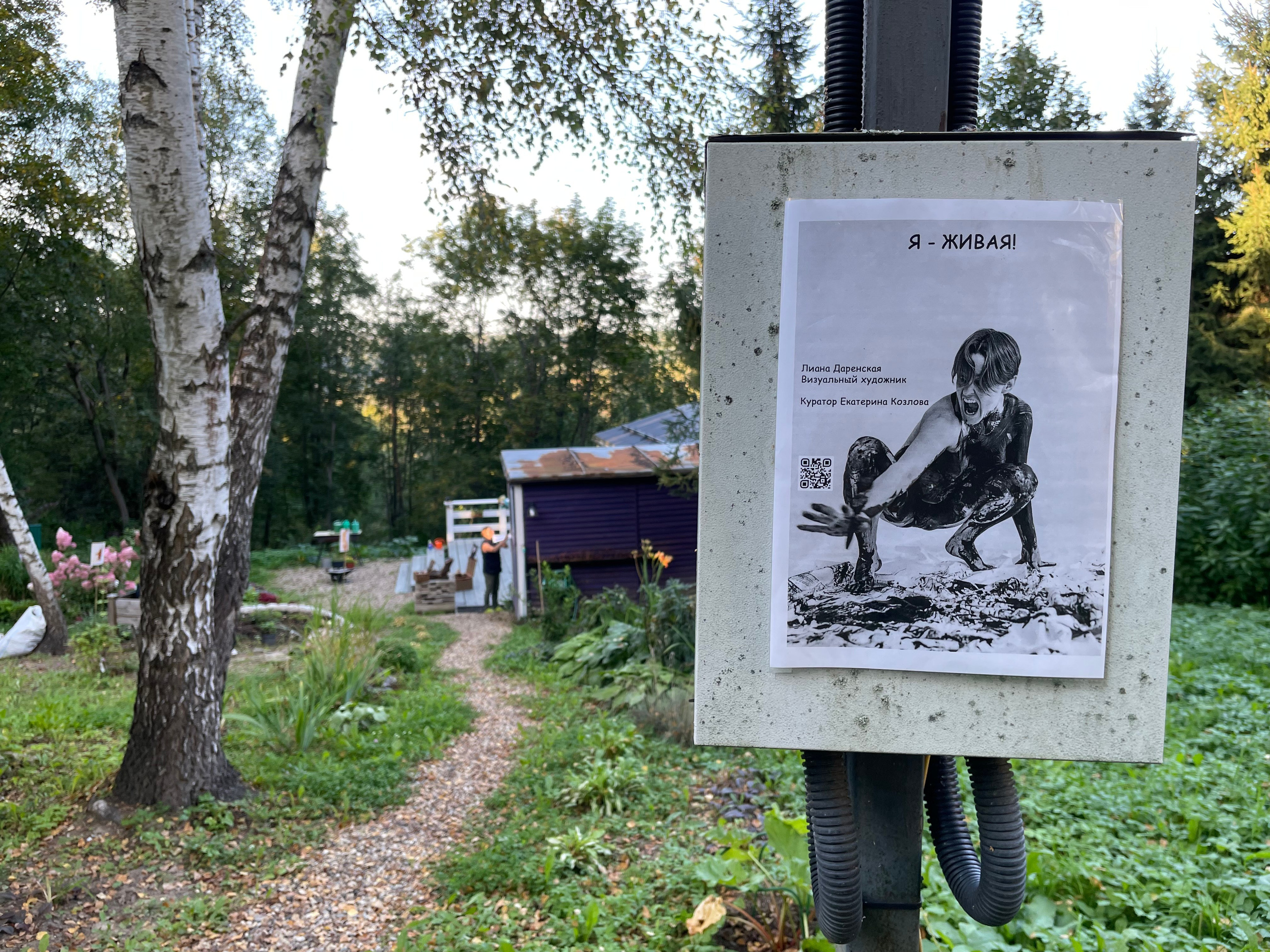 Персональные выставки. Visual artist, photographer Liana Darenskaya, Moscow