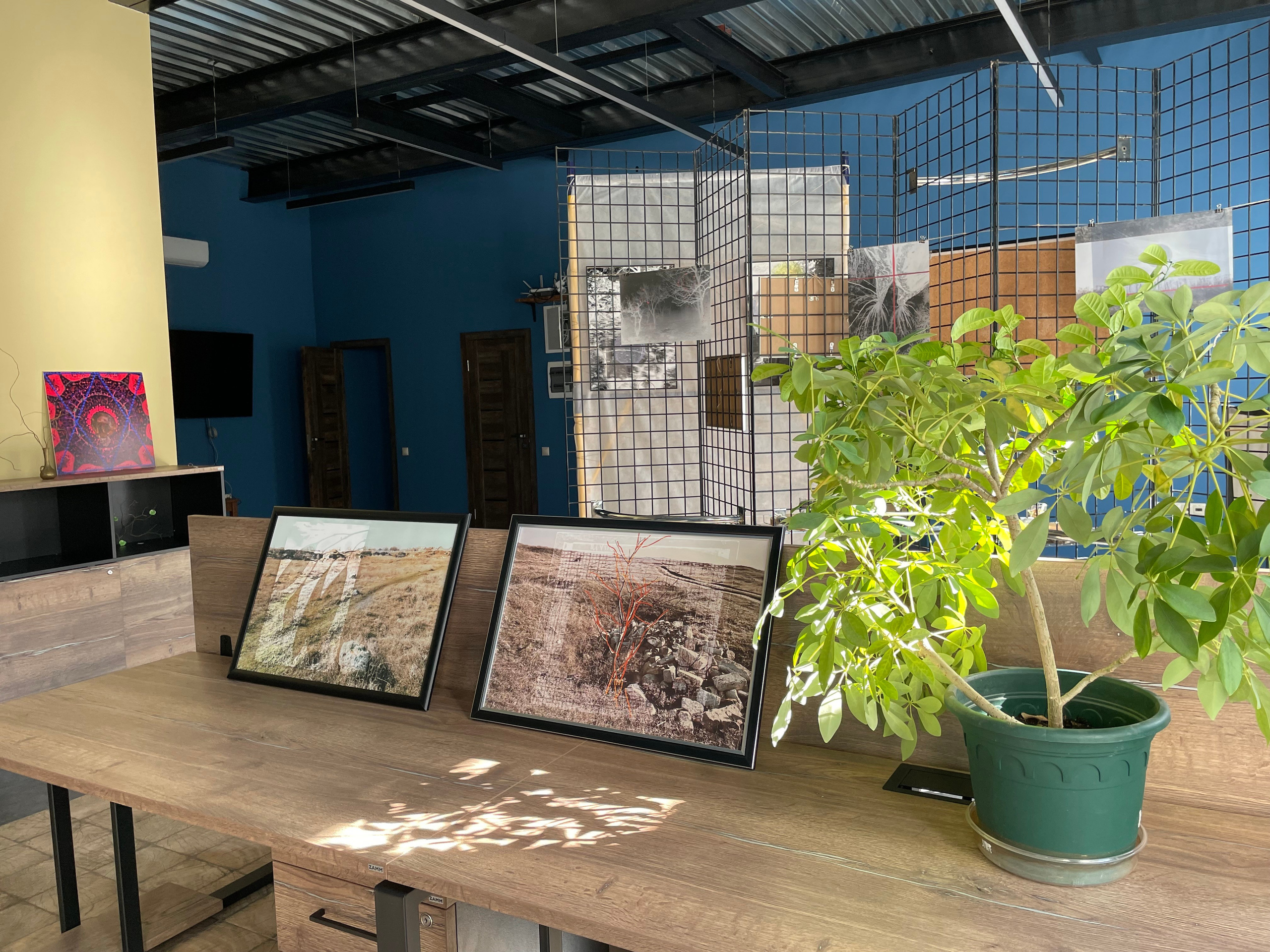 Персональные выставки. Visual artist, photographer Liana Darenskaya, Moscow