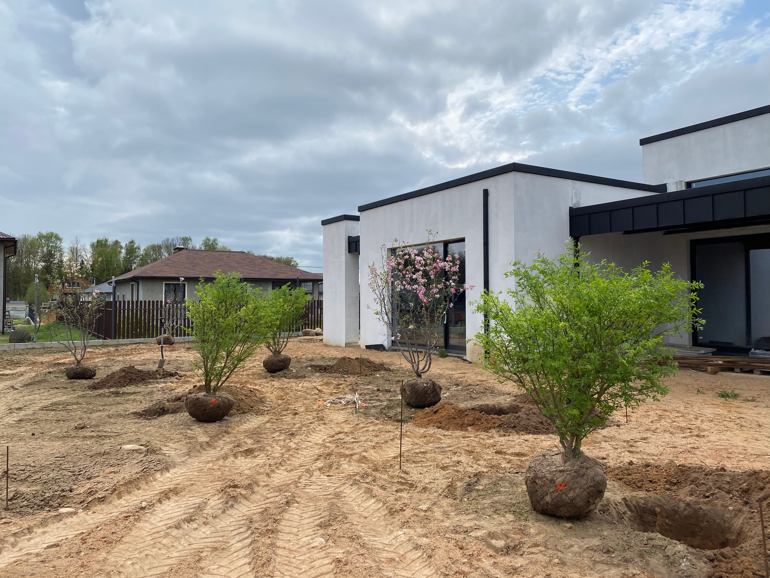 Посадки крупномеров. LA. Ландшафтный дизайн в Минске и Гродно