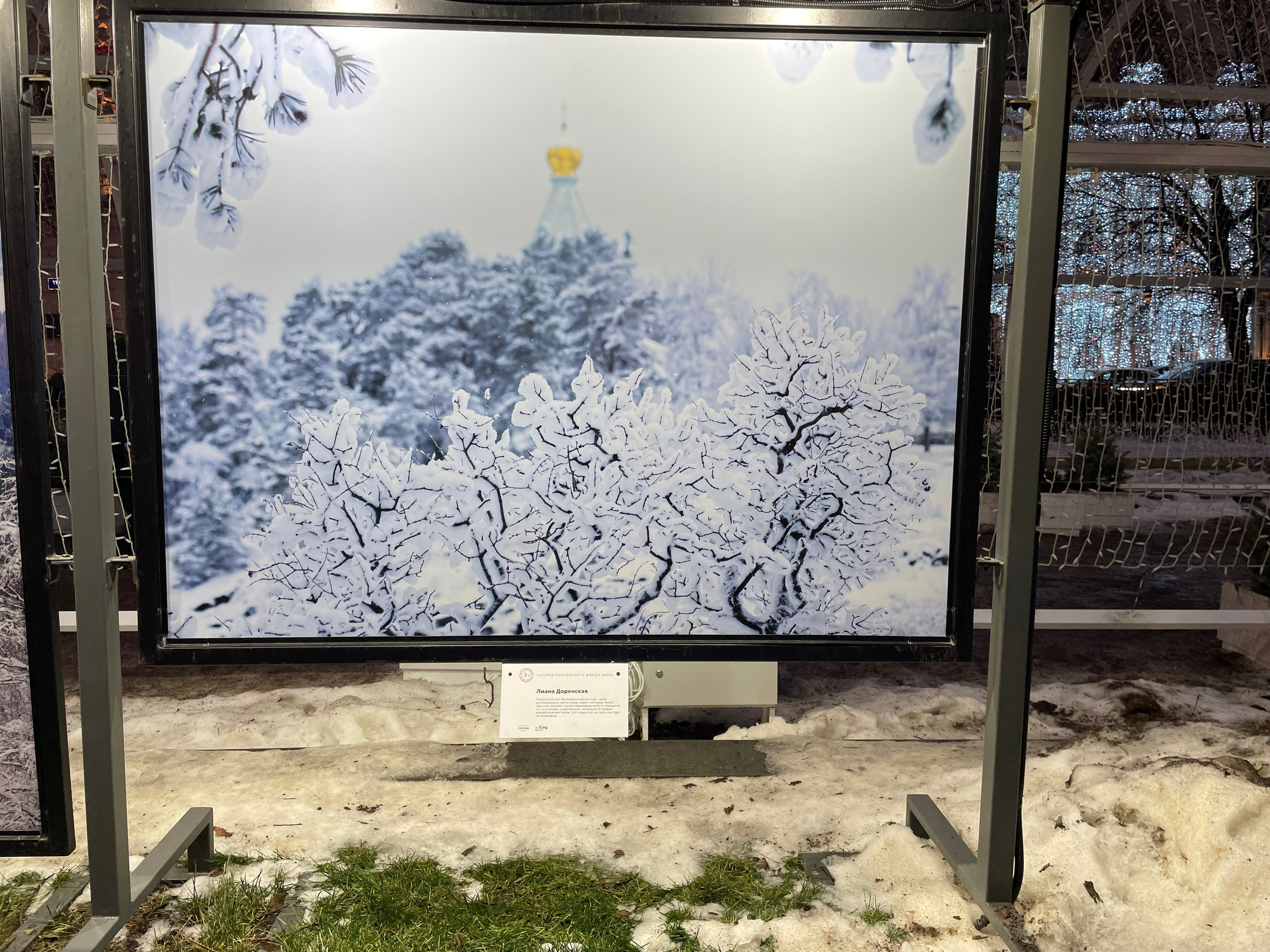 Галереи, выставки, арт-проекты. Visual artist, photographer Liana Darenskaya, Moscow