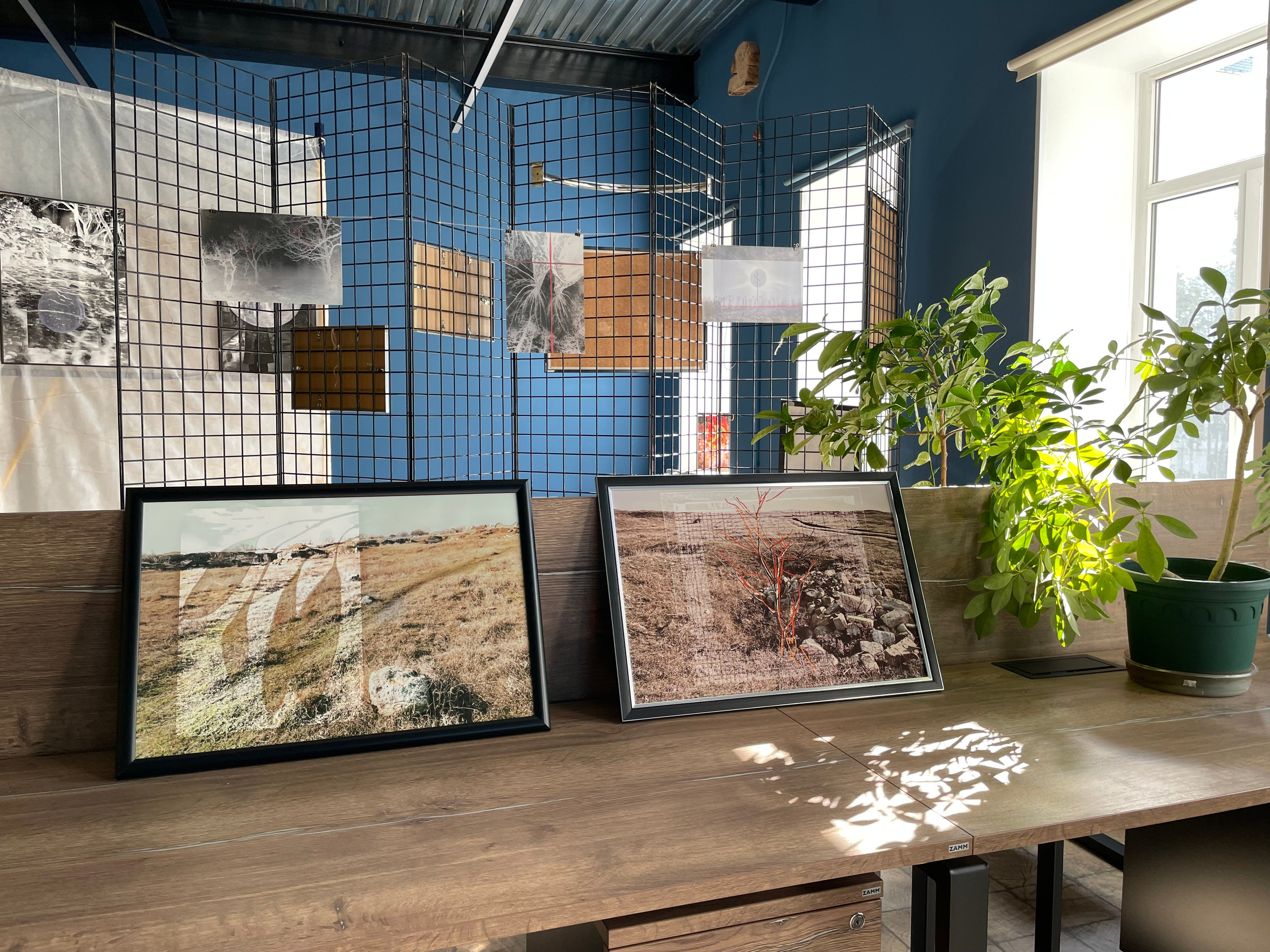 Персональные выставки. Visual artist, photographer Liana Darenskaya, Moscow