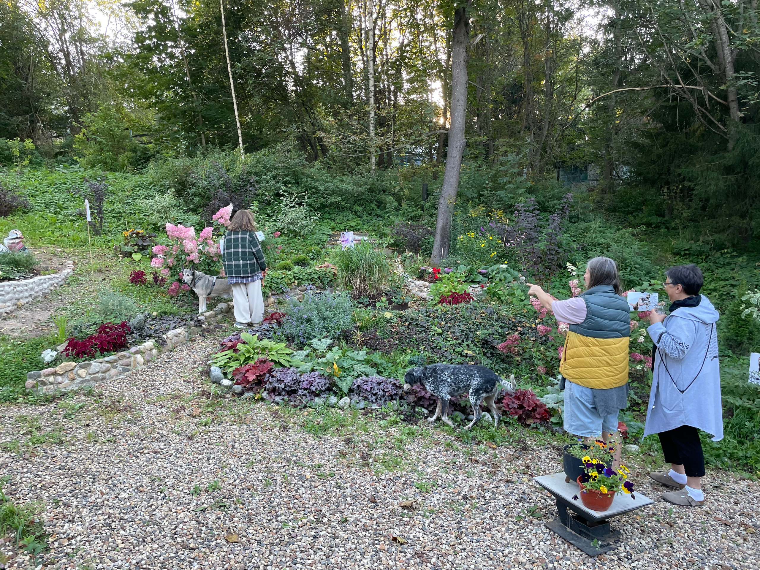 Персональные выставки. Visual artist, photographer Liana Darenskaya, Moscow