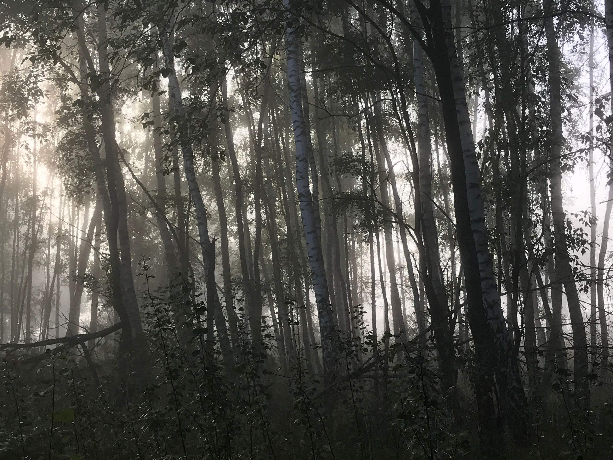 Горетово (2016-2022) — Избранные серии — Документальный фотограф Настя Сергеева