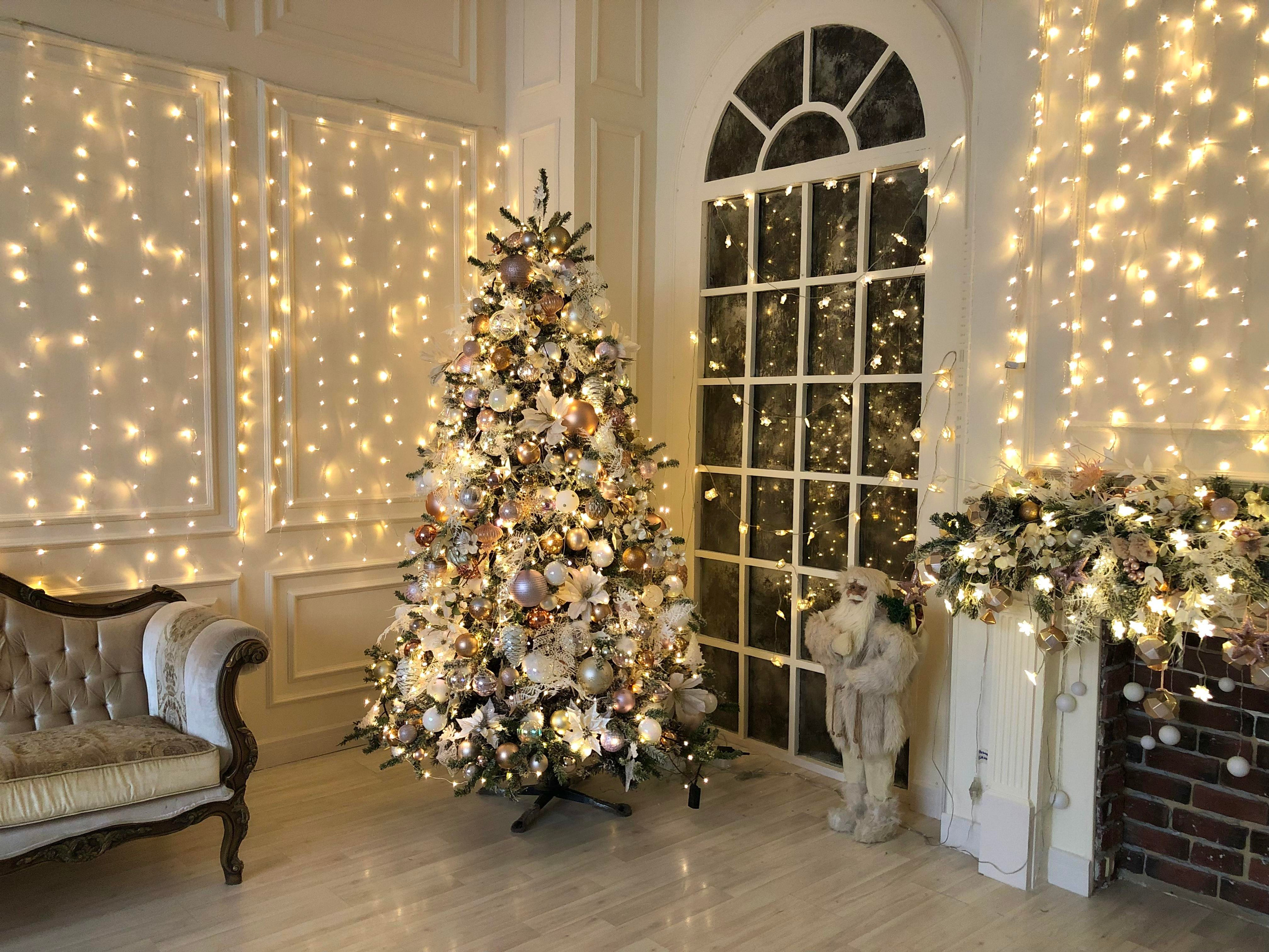 Новогодние фотостудии. Дарья Бухреева — фотограф, видеограф и фототерапевт. Москва и мир