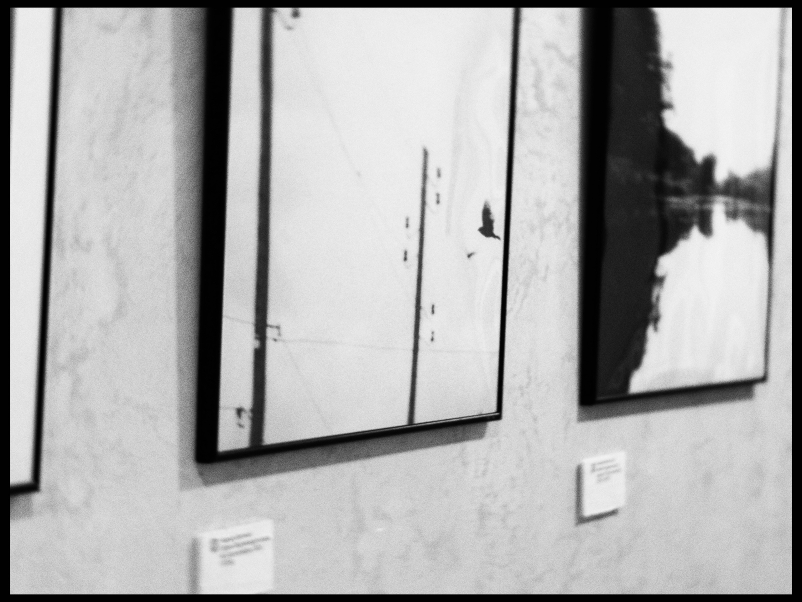 Exhibitions & Competitions. Whoii art