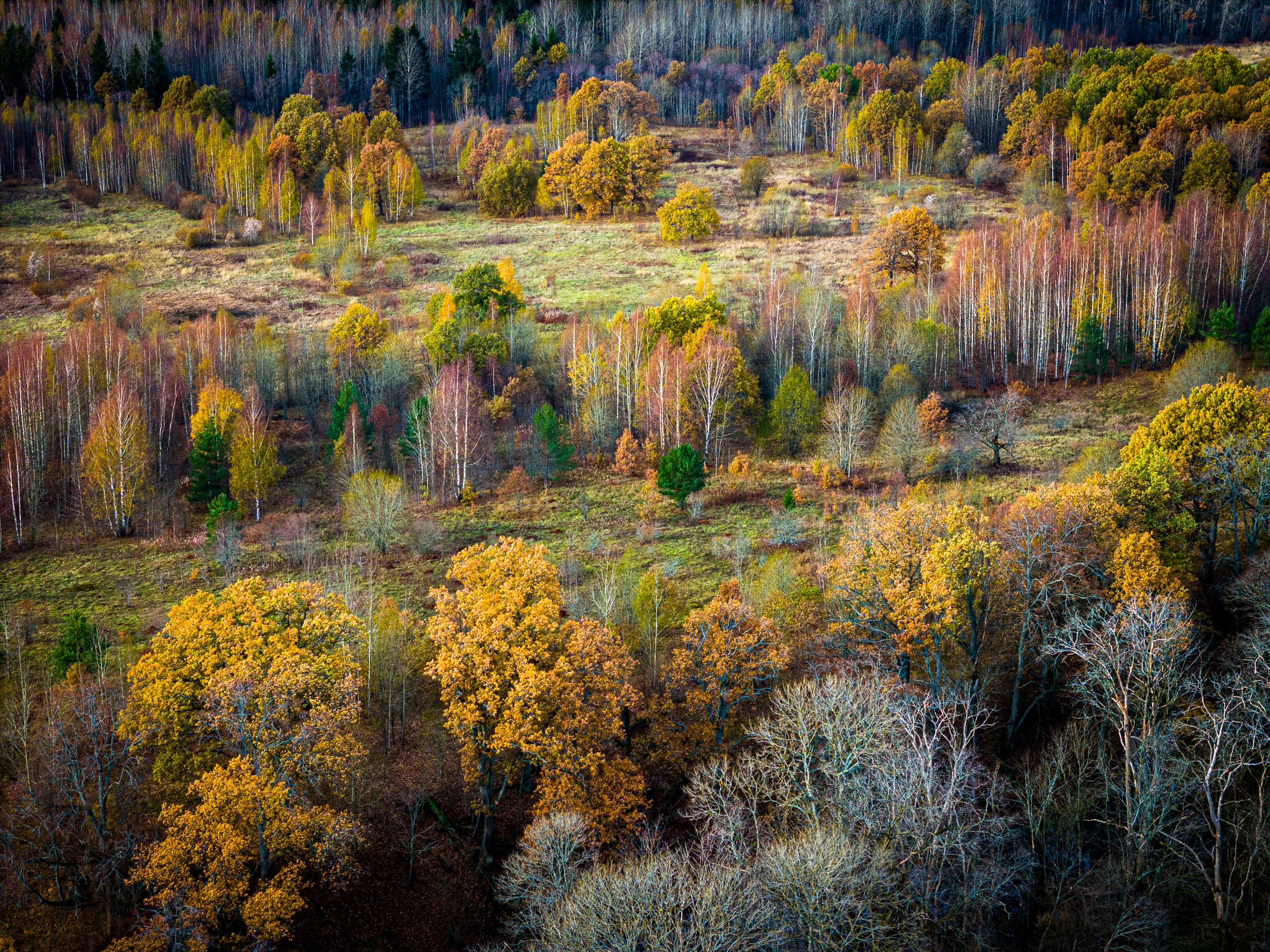 Аэросъемка. Студия визуального контента в Санкт-Петербурге и Москве