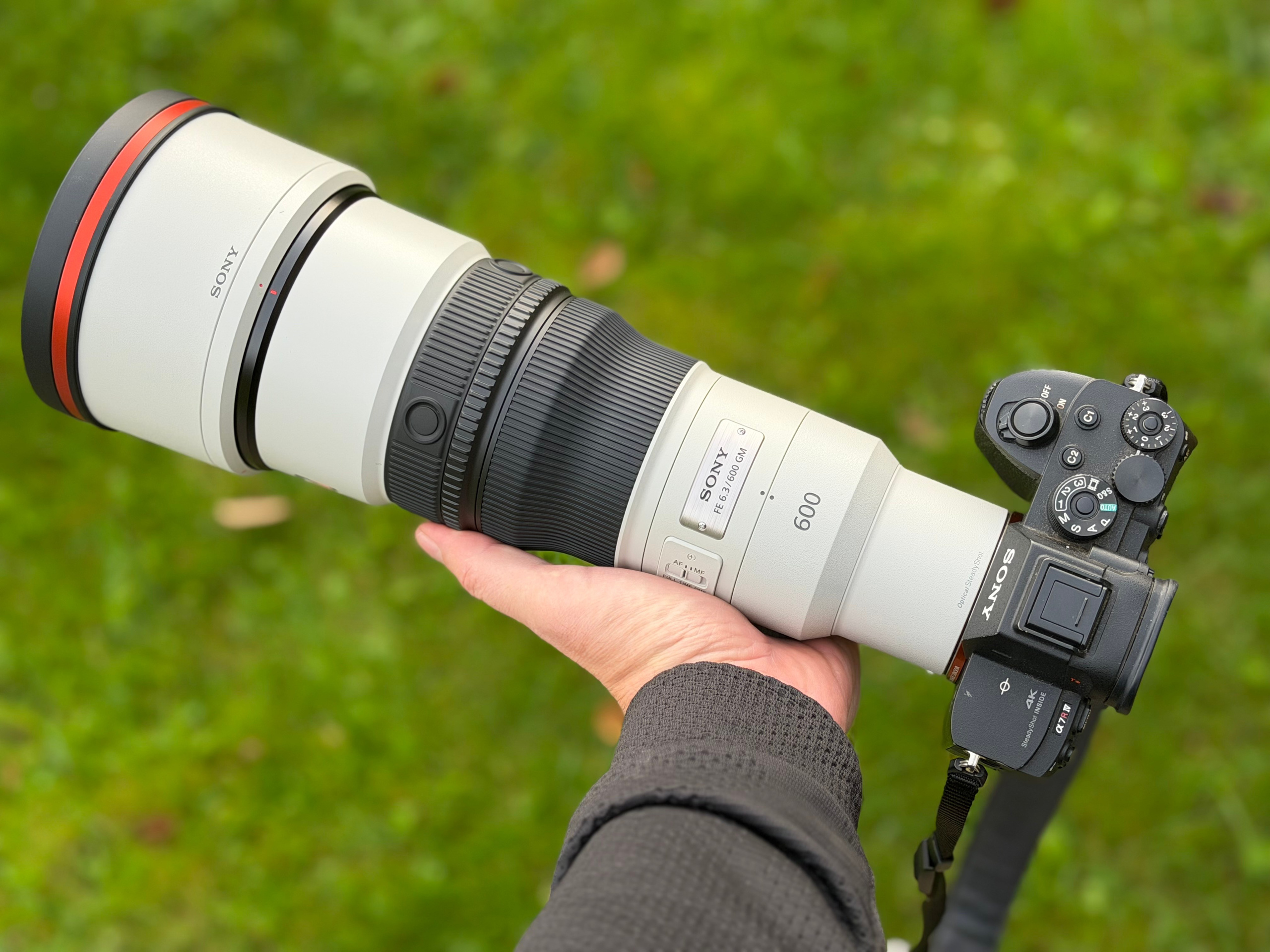 Полевое тестирование Sony 600 mm F/6.3 GM OSS. День первый. Фотограф Сергей Пупонин