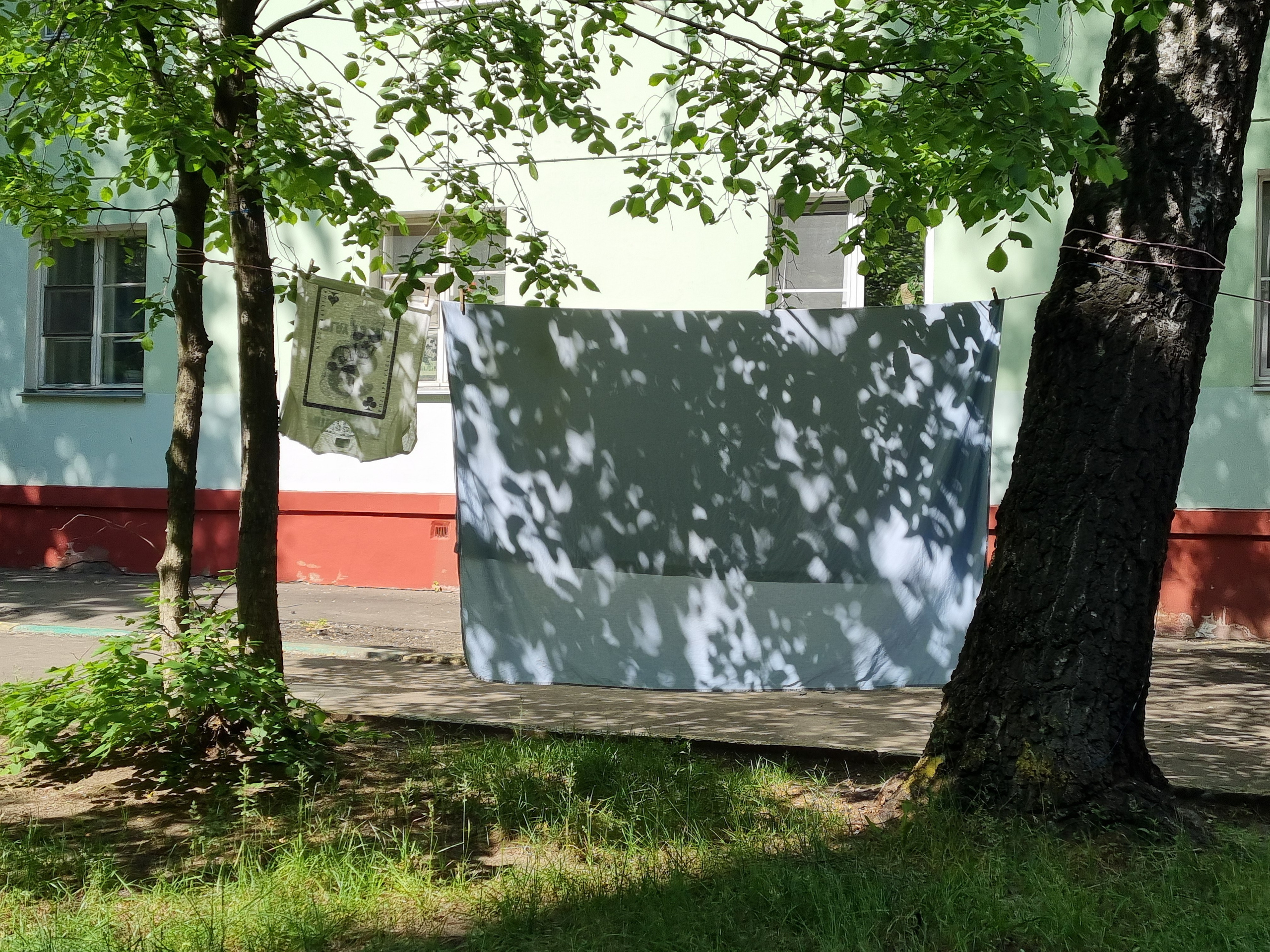 Листья опали там, где исчезли герои. Ангелина Богданова, междисциплинарная художница