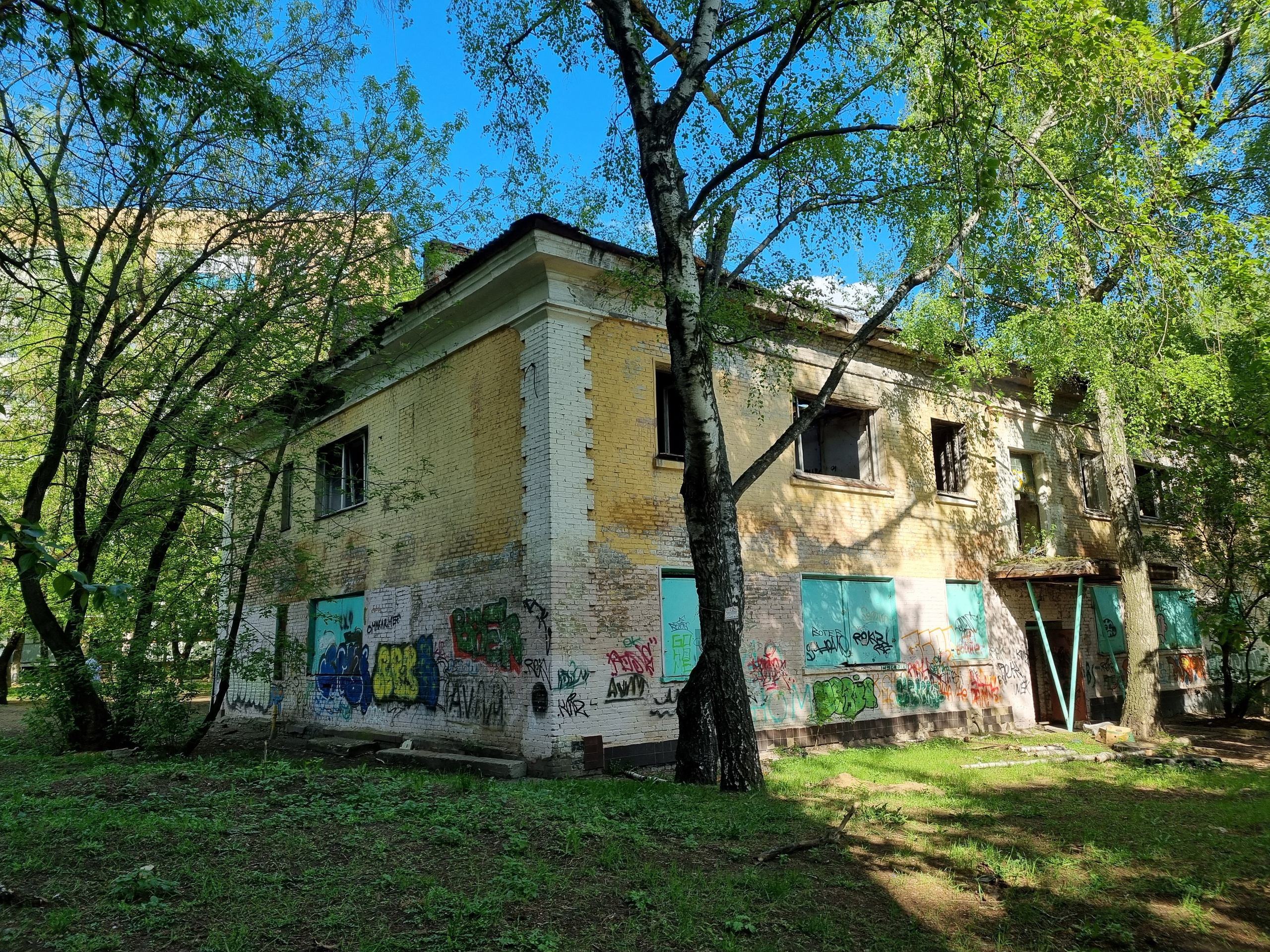 Листья опали там, где исчезли герои. Ангелина Богданова, междисциплинарная художница