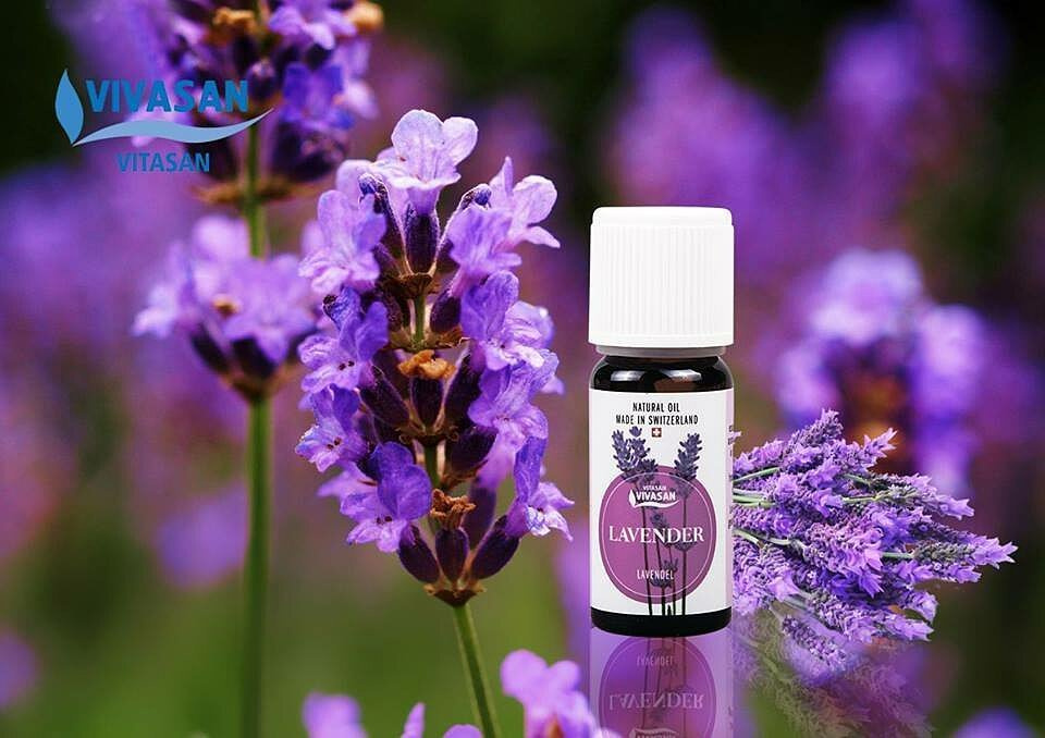 Масло лаванды. VDAO.RU — исцеляющие практики