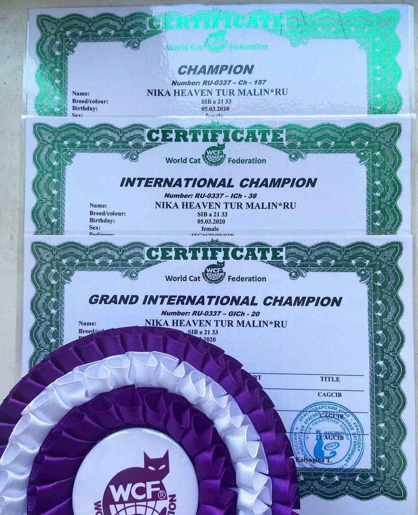 Документы питомника. Главная