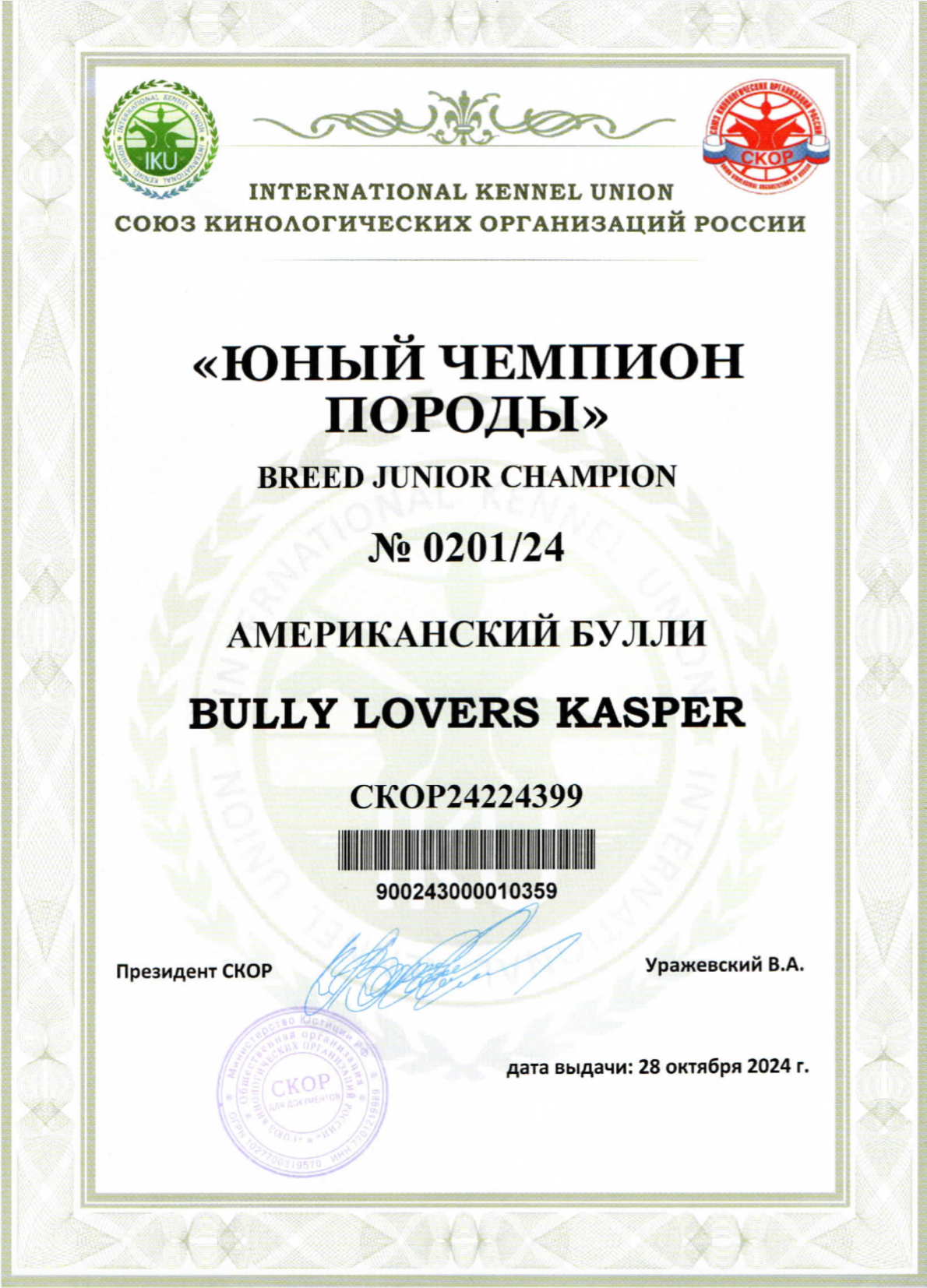 Купить щенка Американского булли в Волгограде