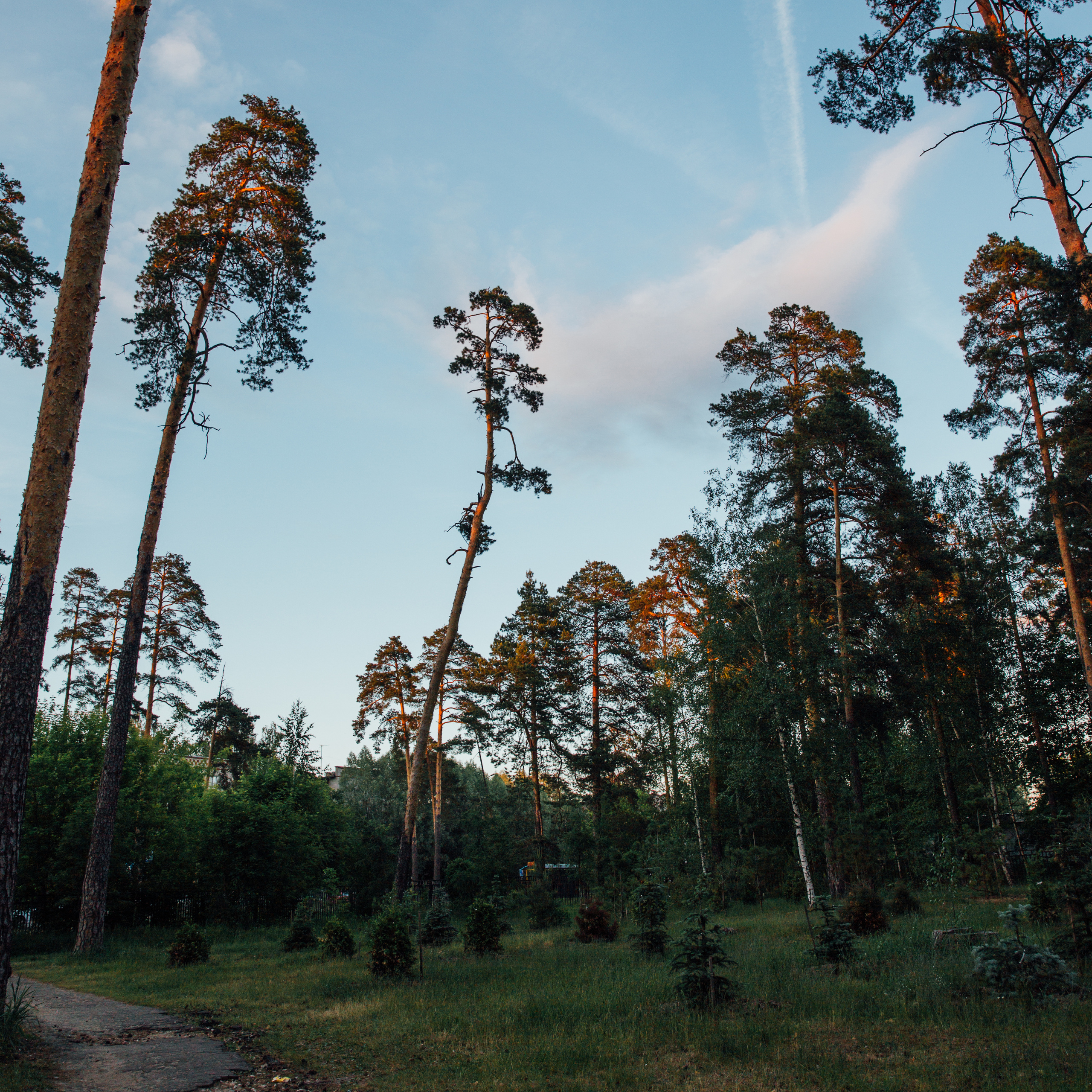 Выкса и Арт-овраг. Свадебный и портретный фотограф в Нижнем Новгороде и Нижегородской обл