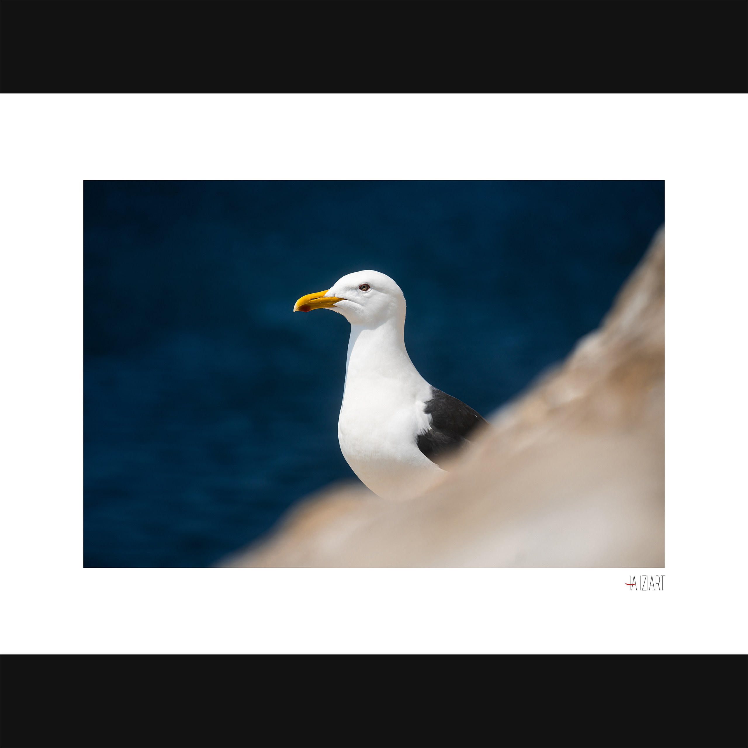 Фотокартины. Ivan Zaitsev (IZIART) — 通过照片和视频创建文化代码