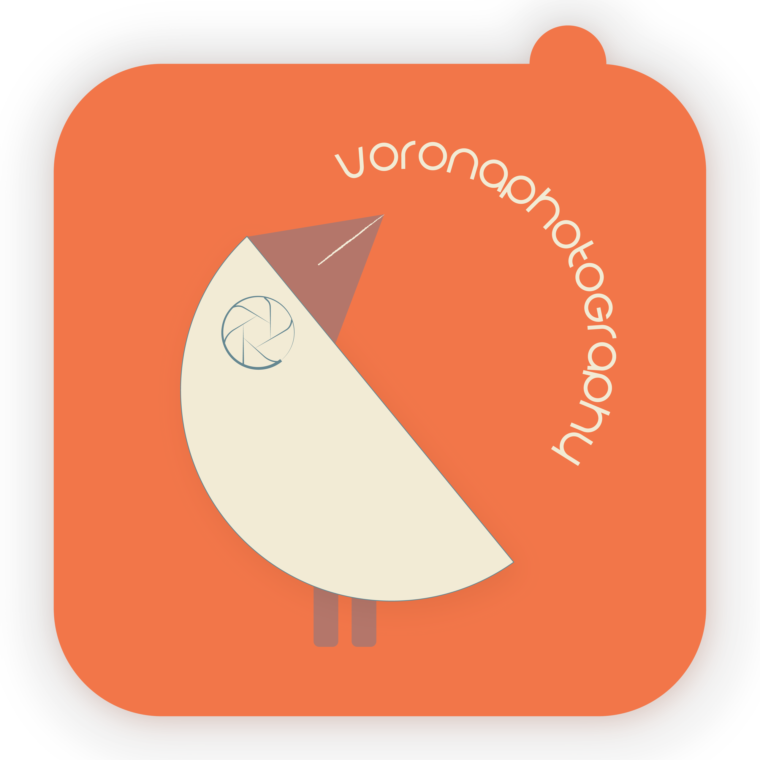 Видео, фото, моушн-дизайн Ольга Воронина