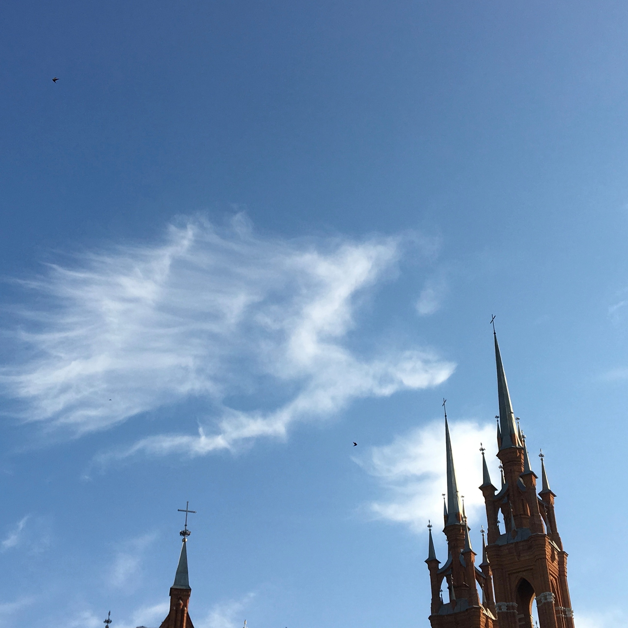 Romantic Samara. Художник Даля Бучионите