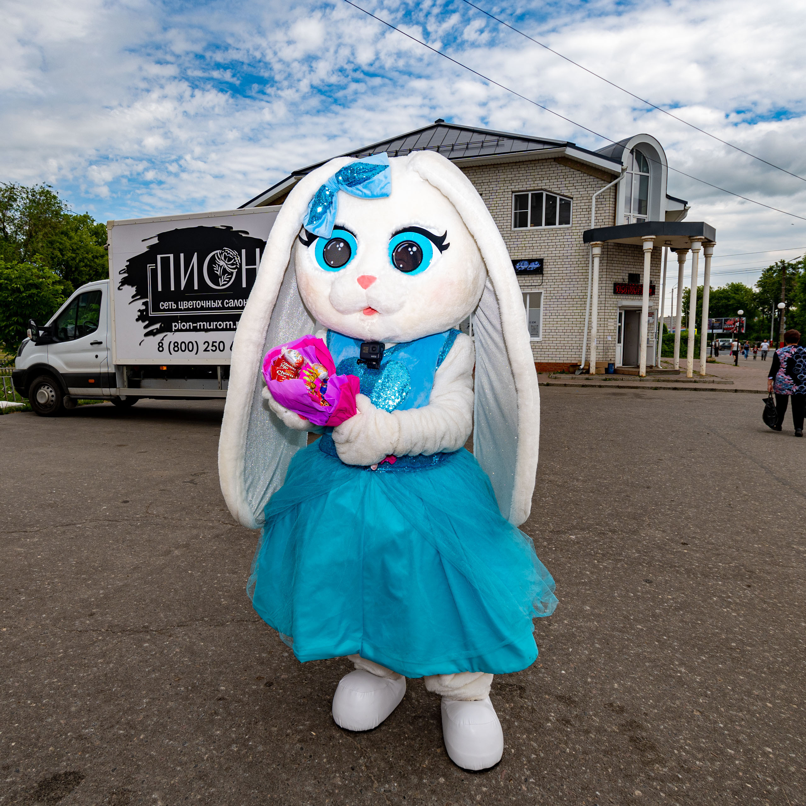 Поздравления от Мишки Тедди в Муроме