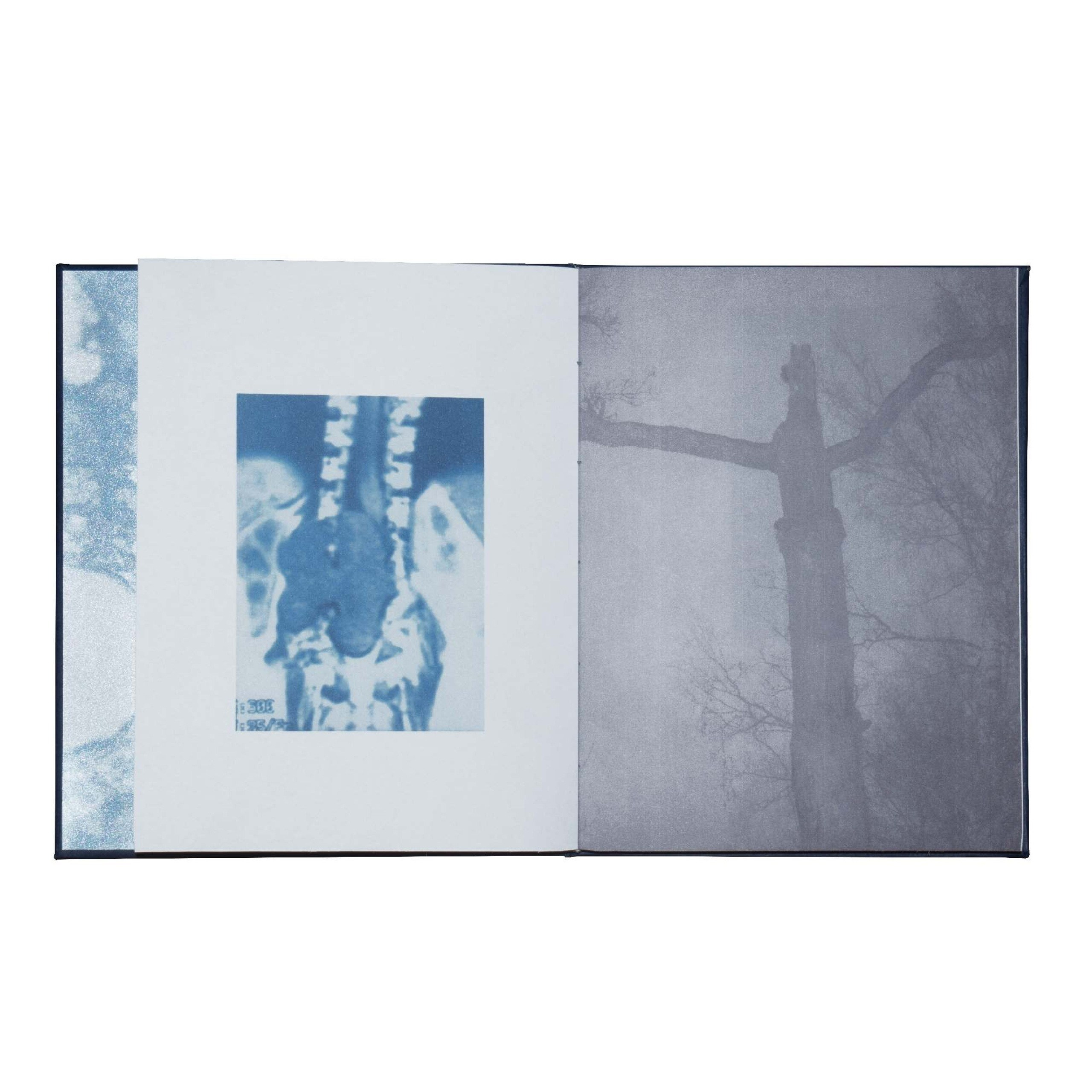 Фотокнига: Мария Пилькевич «Когда ты от нас уедешь, я буду жить в твоей комнате». Самоорганизация Низина