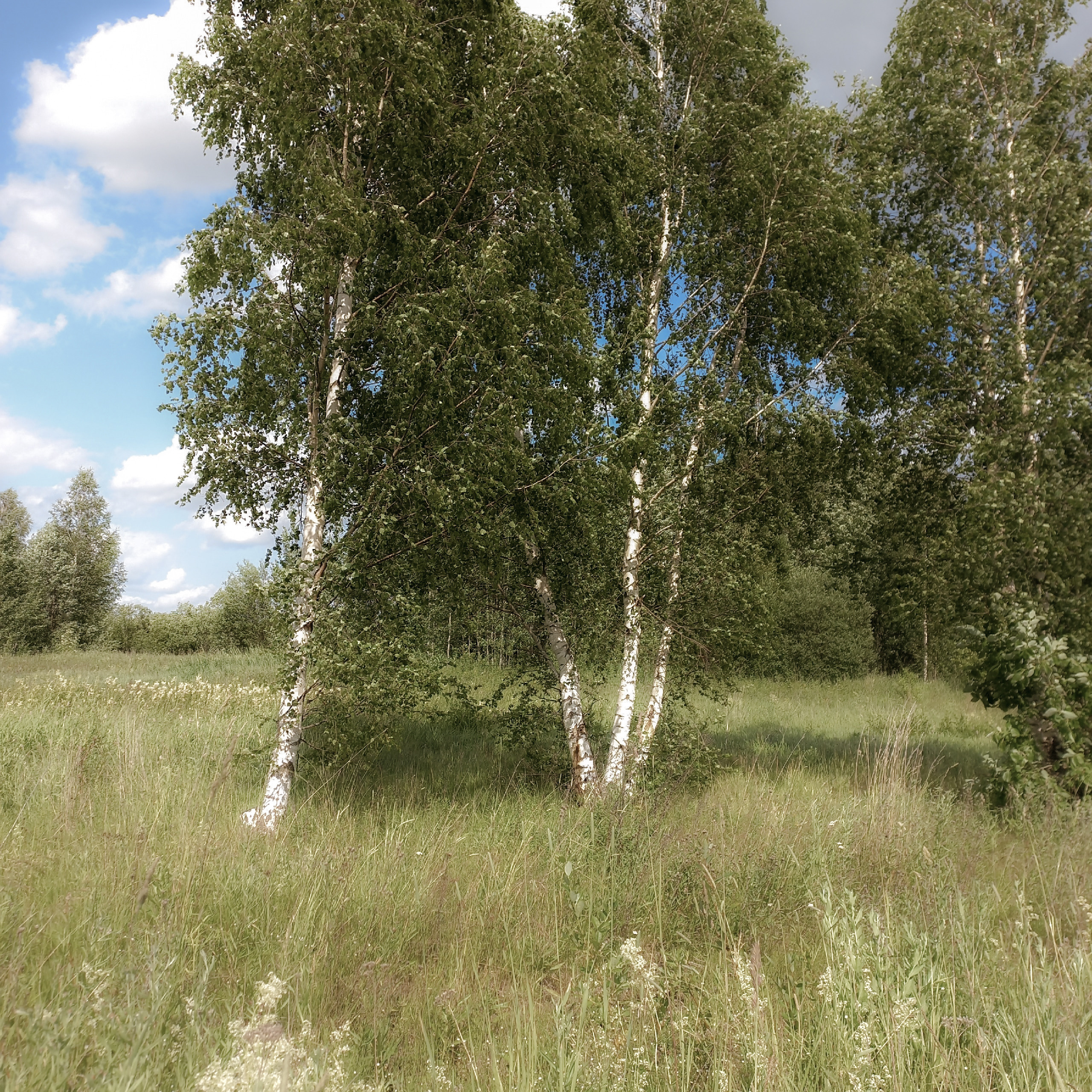 Ретрит в Шексне. Лилия Гоца. Гунфу Шаолинь. Арт-фотография. Ретриты