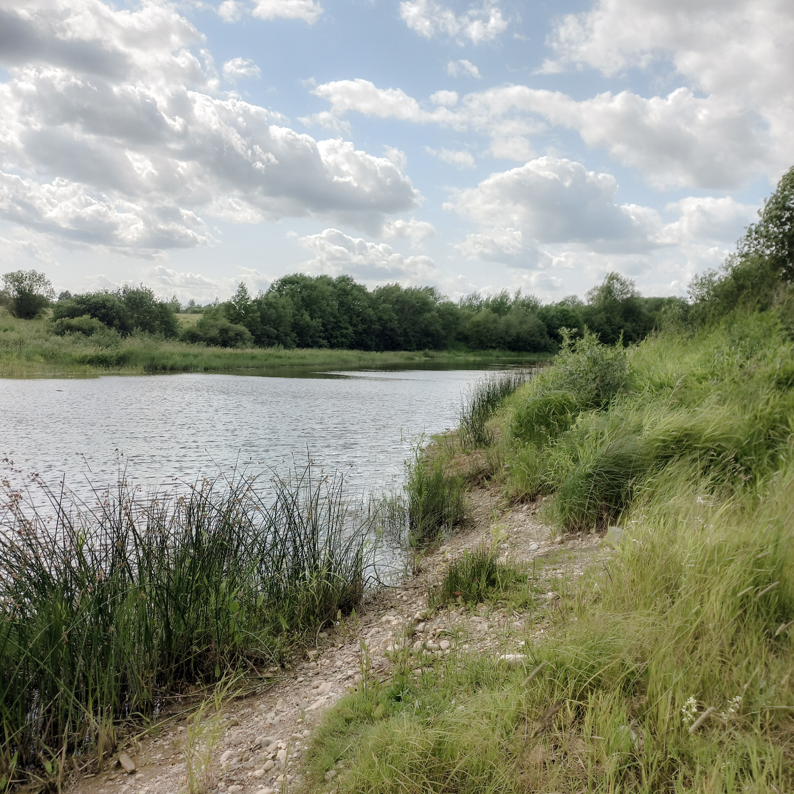 Ретрит в Шексне. Лилия Гоца. Гунфу Шаолинь. Арт-фотография. Ретриты